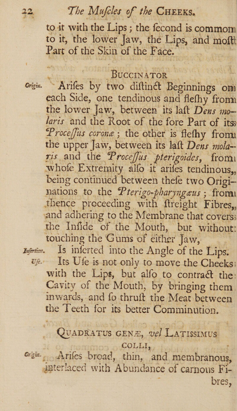 to.it with the Lips ; the fecond is commom to it, the lower Jaw, the Lips, and moftt Part of the Skin of the Face. ‘ ‘ vine, gp RUGCINA TOR idle Gigi ~ Arifes by two diftinét Beginnings om each Side, one tendinous and flefhy fromm the lower Jaw, between its laft Dens mo— laris and the Root of the fore Part of itss Proceffus corone ; the other is flelhy from the upper Jaw, between its laft Dens mola-- mis and the Proceffus pterigoides, from whofe Extremity alfo it arifes tendinous,, being continued between thefe two Origi— nations to the Prerigo-pharyugeus ; from thence proceeding with ftreight Fibres,, and adhering to the Membrane that covers: the Infide of the Mouth, but without: touching the Gums of either Jaw, — iyrr. Is inferted into the Angle of the Lips. ug. Its Ufe is not only to move the Cheeks: with the Lips, but alfo to contraé the: Cavity of the Mouth, by bringing them. inwards, and fo thruft the Meat between the Teeth for its better Comminution. _ Quapgatus GEN, vel Latissimus | gbeetracs tak: lees si | og. .AArifes broad, thin, and membranous, @aterlaced with Abundance of carnous Fi- . bres,