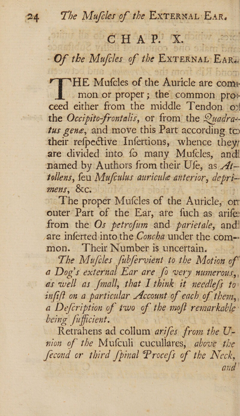 The Mufeles of the imiinciies BAR. CCH A po se | Of the Myf les of the EXTERNAL Ears Tee Ae , HE Mutcles of the Aniticle are come -mon.or proper ; the common pro» ceed either from the middle Tendon 03 the Occipitofrontalis, or from the Quadrax. tus gene, and move this Part according. to are divided into. fo many Mufcles, and! mens, &c. The proper Mufeles of the Auricle, or outer Part of the Ear, are fuch as arife from the Os petrofum and. parietale, and! mon. Their Number is uncertain. .. ~ The Mufcles fubfervient to the Motion of” a Dog’s external Ear are fo very numerous, as well as fmall, that I think it needlefs to infift on a particular Account of each of them,, a Defcription of two afi the moft remarkable: being fufficient. Retrahens ad caloms arifes from the U- aion of the Mufculi cucullares, above the fecond or third [pinal Procefs of the Neck, aid