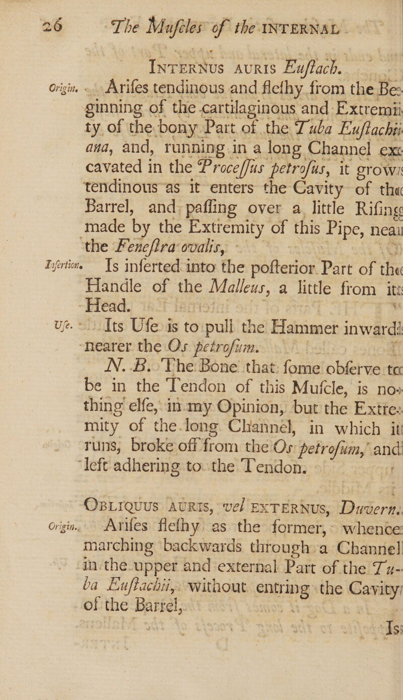 Tifertions | Use. Origin., The Mufeles of the INTERNAL ; | teeeens aunts © Euftach. Arifes tendinous and flethy from the Be ginning of the cartilaginous and -Extremii ty of the bony Part of the Tuba Eujtachii ava, and, ranning.in a long. Channel exc cavated in the ProcefJus petrofus, it growi tendinous as it enters the Cavity of th« Barrel, and: pafling over a little Rifing made by the Extremity of this Pipe, neai ‘the Fenefira ovalis, Is inferted into the Siithede Part of of Handle of the mae a little from iti Head. Sime isp - Its Ufe.is to pull the Hammer inwargs “hearer the Os petrofum. N..B. The Bone that: fome phtetwer te: be in the Tendon of this Muicle, is no». thing’ elfe, in.my Opinion, but the Extte: mity of the.long Channel, in which it runs, broke off from the Or petrofum,” and ‘left adhering to. the Tendon. af OBLIQUUS AURIS, vel EXTERNUS, Haeekcral Arifes flefhy as the former, whence marching backwards through a Channel in the upper and external Part of the Tu- ba Euftachii,: without entmg: the Baier | of the eee one | Be