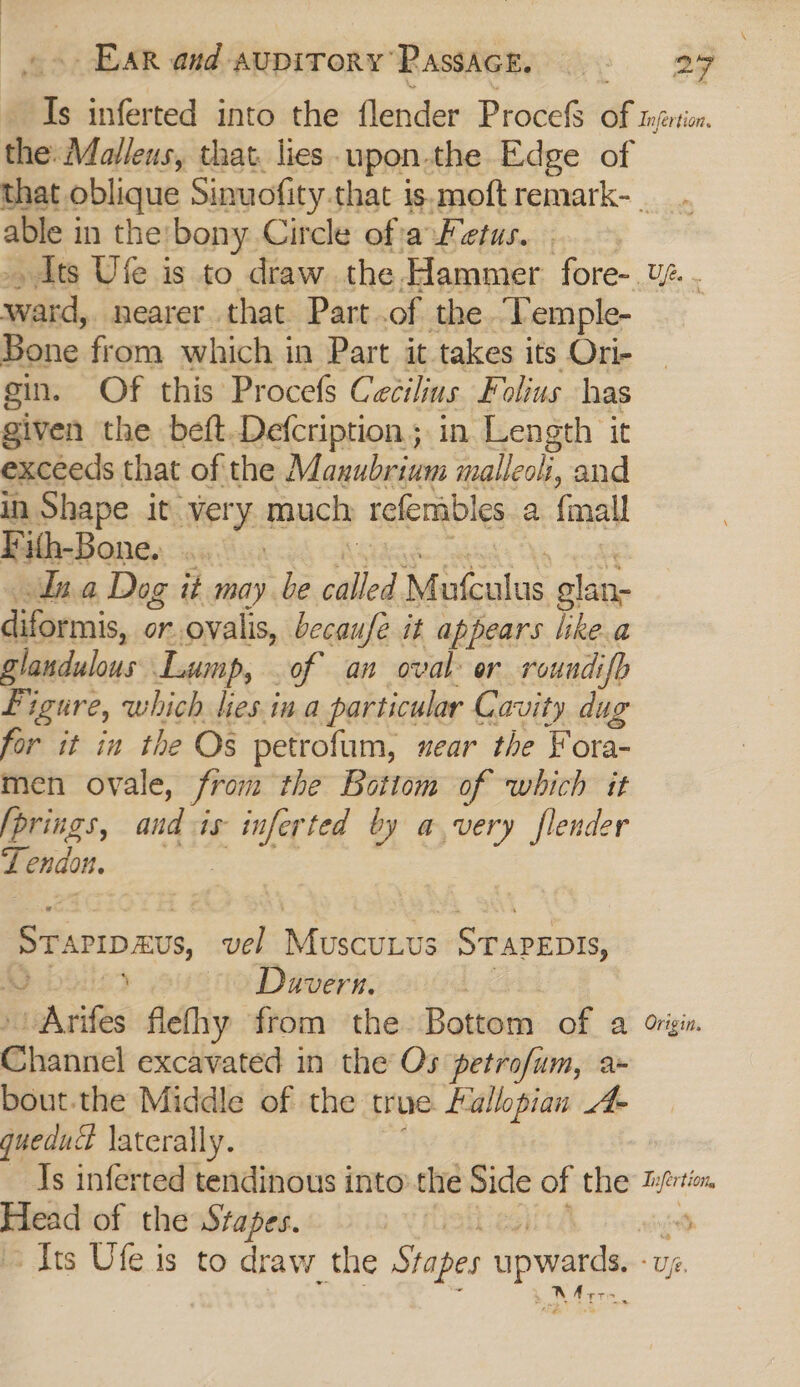 Is inferted into the flender Proce of Infertion, the: Mallens, that. lies upon.the Edge of that. oblique Sinuofity. that is.moft remark- - able in the:bony Circle of a Fetus. Its Ufe is to draw the Hammer fore-. vz . ward, nearer that Part..of the. ‘Temple- Bone from which in Part it takes its Ori- gin. Of this Procefs Cecilins Folius has given the beft.Defcription; in Length it exceeds that of the Mas ubecte ‘allel, and in Shape it very much refembles a {mall Iifh-Bones ..0 Ina Dog it may be called Mutculus olane diformis, or ovalis, becaufe it appears like.a glandulous Lump, of an oval: or roundi ifb figure, which les ina particular Cavity. dug for it in the Os petrofum, near the Fora- men ovale, from the Bottom of which it [prings, and is inferted by a very flender Tendon. Sranpavs vel Bintan STAPEDIS, ; ~~) Davern. ene fiefhy from the Botieud of a Origin. Channel excavated in the Os petrofum, a» bout. the Middle of the true fallopian 4- queduct laterally. Js inferted tendinous into the Side of the: Lyertion, hie of the Stages. } oS Its Ufeis to draw the Stapes upwards.