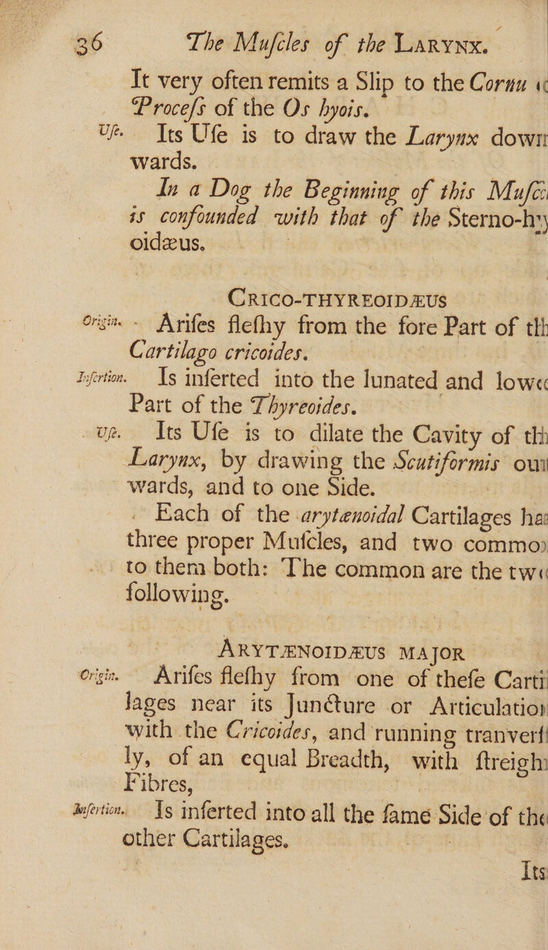 It very often remits a Slip to the Coruu « Procefs of the Os hyois. Ue Its Ufe is to draw the Larynx down wards. BST te dn a Dog the Beginning of this Mufe: is confounded with that of the Sterno-hy oideus. | : CRICO-THYREOIDEUS ors ~ Arifes flefhy from the fore Part of ttt Cartilago cricodes. ) ievtim. — Ts inferted into the lunated and low« Part of the Thyreoides. , ue — Its Ufe is to dilate the Cavity of th Larynx, by drawing the Scutiformis out wards, and to one Side. jit Se Each of the -arytencidal Cartilages ha: three proper Mutcles, and two commo) _to them. both: The common are the tw« following. | ARYTENOIDEUS MAJOR | org. Arifes flefhy from one of thefe Carti Jages near its Jun@ture or Articulatiop with the Cricoides, and runnin @ tranvert ly, of an equal Breadth, with ftreigh: Fibres, bas’ defotin. — Ys inferted into all the fame Side of the other Cartilages, at | Its