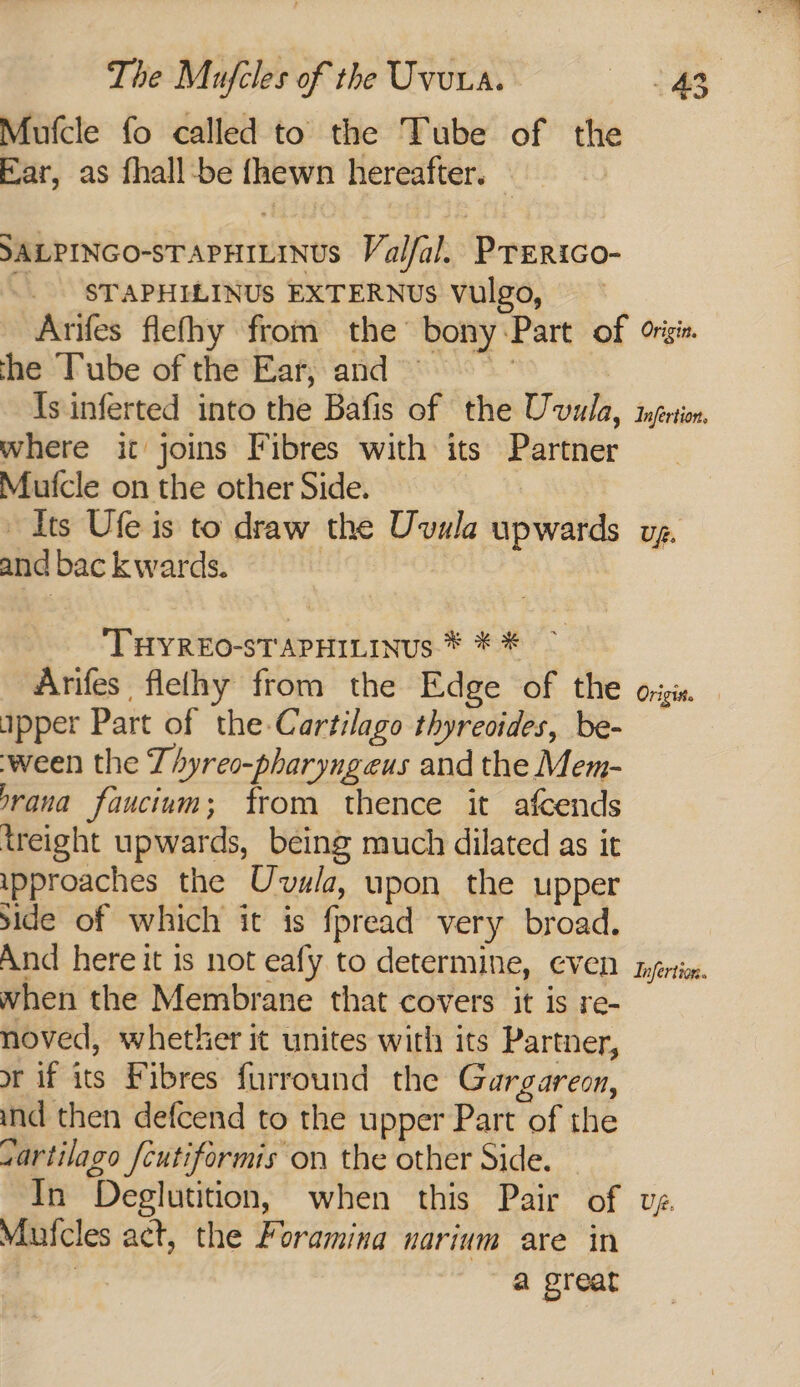 Mufcle fo called to the Tube of the Ear, as fhall-be {hewn hereafter. SALPINGO-sTAPHILINUS Valfal. PrEerico- -. STAPHILINUS EXTERNUs vulgo, Arifes flefhy from the bony:Part of origi the ‘Tube of the Ear, and is {s inferted into the Bafis of the Uvula, inerton. where ict joins Fibres with its Partner Mufcle on the other Side. Its Ufe is to draw the Uvula upwards ug. andbackwards. ‘THYREO-STAPHILINUS * * * Anifes flelhy from the Edge of the origin apper Part of the Cartilago thyreoides, be- ween the Thyreo-pharyngeus and the Mem- prana faucium; from thence it afcends treight upwards, being much dilated as it ipproaches the Uvula, upon the upper side of which it is fpread very broad. And here it is not eafy to determine, Even injrtig. when the Membrane that covers it is re- noved, whether it unites with its Partner, or if its Fibres furround the Gargareon, ind then defcend to the upper Part of the sartilago fcutiformis on the other Side. — In Deglutition, when this Pair of vz. Mufcles act, the Foramina narium are in oe a great