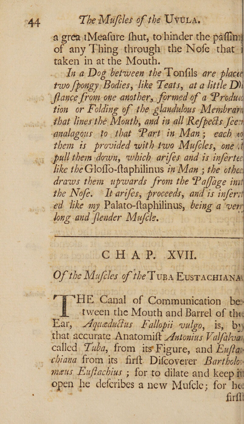 at sey The Mufeles of the Uvoua. © a grea tMeafure {hut, to‘hinder the paffiny of any Thing through the Nofe that: j taken in at the Mouth. | . In a Dog between the Tonfils are place two {pongy Bodies, like Teats, at a little Di tion or Folding of the glandulous Membrari that lines thé Mouth, and iaall Refpects feex -analagous to. that “Part in Man; each xa them is provided with two Mufcles, oné ii hike the Glof{o-ftaphilinus is Man ; the othee draws them upwards from the Paffage im the Nofe. ° It arifes, proceeds, and is infer: dong and flender Mufcle. — CHAP. XVII Of the Mufiles of the T ups Eusracuianat _ tween the Mouth and Barrel of the Ear, Aquedultus Fallopii vulgo, is, by that accurate Anatomift Antonius Valfaloay called Tuba, from its'Figure, and Eu/tas chiana from its firft. Difcoverer Bartholoo. open he defcribes a new Mufcle; for hee ‘ | frill