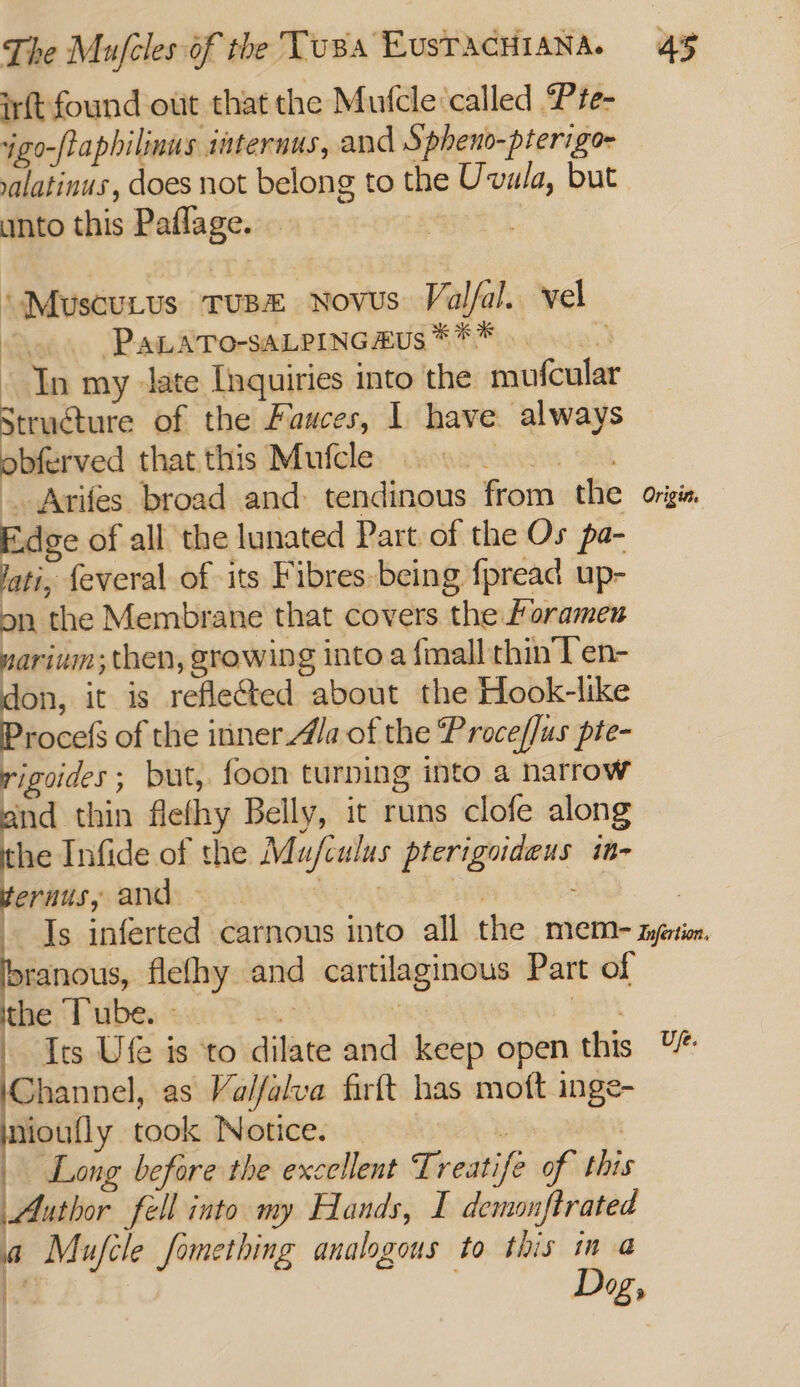 irft found out that the Mufcle ‘called Pte- igo-ftaphilinus iaternus, and Spheno-pteriga- valatinus, does not belong to the Uvala, but unto this Paflage. | “Muscutus Tusx novus Valfal. vel Oo PaLaro-saLpincaus*** 0. In my Jate Inquiries into the mufcular Structure of the Fawces, 1 have. always obferved that this Mufcle batesier Sex Arifes broad and tendinous from the origie, E.dge of all the lunated Part of the Os pa- lati, {everal of its Fibres being {pread up- on the Membrane that covers the foramen narium; then, growing intoa {mall thin'Ten- don, it is refleted about the Hook-like Procefs of the inner 4/a of the Proce/Jus pte- rigoides; but, foon turning into a harrow and thin flefhy Belly, it runs clofe along the Infide of the Muj/culus pterigodeus in- pernus, and vein | ; Is inferted carnous into all the mem zyetion branous, flefhy and cartilaginous Part of ithe Tube. - gh a ae Its Ufe is to dilate and keep open this Channel, as Valfalva firft has mott inge- uioufly took Notice. : Long before the excellent Treatife of this Author fell into my Hands, I demsnftrated a Mufcle something analogous to this in @ fag Deg,