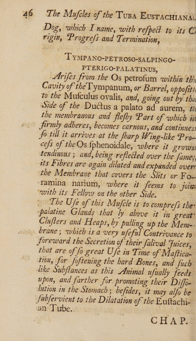 Dog, which I name, with refpect to its rigit, Progrefs and Termination, — ‘TYMPANO-PETROSO-SALPINGO-- PTERIGO-PALATINUS, Arifes from the Os petrofam within th Cavity of the Tympanum, or Barrel, oppofttt _ to the Mufculus ovalis, and, going out by thie Side of the Ductus a palato ad aurem, fi the membranous and flefhy Part of which ii Jirmly adheres, becomes carnous, and continues: fo till it arrives at the fearp Wing-like P ro-. cefs of the Qs {phenoidale, where it Lrowss tendinous ; and, being refleded over the fame;, its Fibres are again dilated and expanded overr ‘the Membrane that covers the Slits or F Ou. ‘Famina narium, where it feems to Jottss ‘with its Fellow on the other Side. The Ufe of this Muféle is to compre/s the: -palatine Glands that ly above it in Lreat' Clufters and Heaps, by pulling up the Mem=- brane; which isa very ufeful Contrivance te foreward the Secretion of their falival Fuices, that are of fo great Ufe in Time of Maftica- hen, for foftening the hard Bones, and fuch tke Subftances as this Animal wfually feeds upon, and farther for. promoting their Diffo= lution in the Stomach ; befides, it may alfo be fubfervient to the Dilatation of the Euftachi- an ‘Tube.. Soap un CHAP.