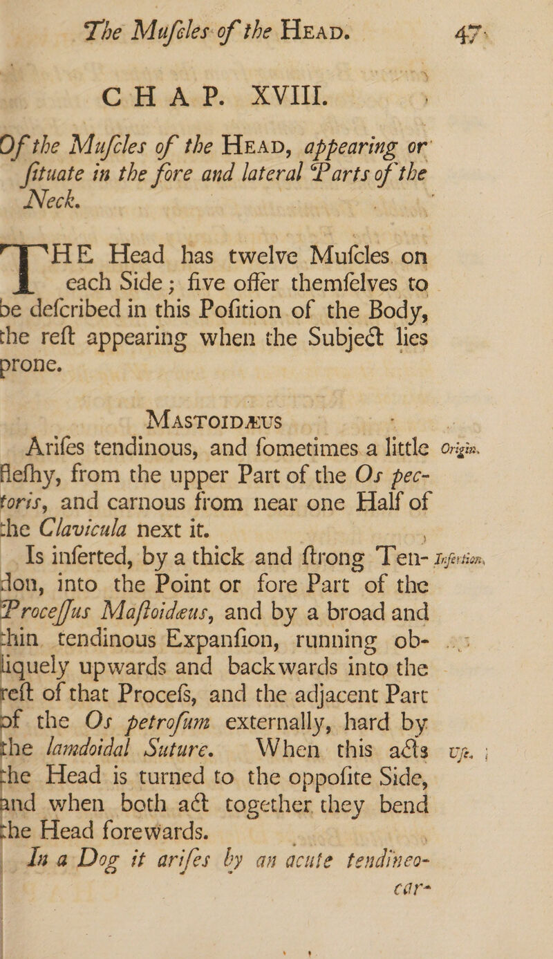 The Mufeles-of the Heap. 4% CHAP. XVIII. Of the Mufles of the HEAD, appearing or’ fituate in the fore and lateral deal the Neck. | HE Head has twelve Mufcles. on each Side ; five offer themfelves to be defcribed in this Pofition of the Body, the reft appearing when the Subject lies prone. Masrorpaus Arifes tendinous, and fometimes.a little Origin Hefhy, from the upper Part of the Os pec- foris, and carnous from near one Half of ‘he Clavicula next it. As inferted, by a thick and ftrong Ten- sini Jon, Into the Point or fore Part of the Proce/fus Maftoideus, and by a broad and hin, tendinous Expanfion, running Ole ats iguely upwards and backwards into the © reft of that Procefg, and the adjacent Part f the Os petrofum externally, hard by Lo lamdoidal Suture. When this aéts ve. ; he Head is turned to the oppofite Side, nd when both aé&amp; together they bend the Head forewards. Ina Dog it arifes by an acute tendineo- car-