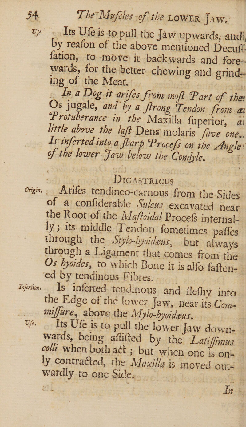 uz. Its Ufeis to pull the Jaw upwards, andi by reafon of the above mentioned Decuft fation, to move it backwards and fore» wards, for the better chewing and grind: ing of the Meat. ih . daa Dog it arifes from moft Part of the Os jugale, and by a ftrong Tendon from a Protuberance in the Maxilla fuperior, ai little above the laf? Dens molaris fave one., Is: inferted into.a fharp Procefs on the Angle: of the lower Jaw below the GC ondyle. 3 ) 3 Dicastricus > ogi, - Arifes tendineo-carnous from the Sides of a confiderable Sulcus excavated near the Root of the Ma/foidal Procefs internal- ly ; its middle Tendon fometimes pafles through the Stylo-hyoideus, but always through a Ligament that comes from the Os hysides, to which Bone it is alfo faften- ‘ed by tendinous Fibres, } gottsotedt infatim. Is inferted. tendinous and flefhy into the Edge of the lower Jaw, near its Com=. miffare, above the Mylo-hyoideus.. ue. Its Ufe is to pull the lower Jaw down- _ wards, being aflifted by the Latiffimus colt when both act ; but when one is on ly contragted, the Maxilla is moved oute wardly to one Sides. Le Be hha ; Ins