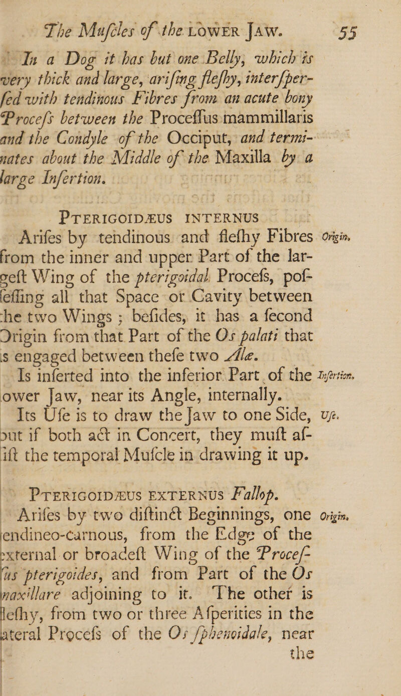 Ih a a Dog it has but one Belly, which is very thick and large, arifing flefhy, inter/per- fed with tendinous Fibres from an acute bony Proce/s between the Proceflus mammillaris and the Condyle of the Occiput, and termi- nates about She Middle of the Maxilla 3 gr a large AInfertion. ez PTERIGOIDEUS INTERNUS 3 Arifes by tendinous and flefhy F ibres. ovin from the inner and upper Part of the lar- seft Wing of the prterigoidal, Procefs, pof- effing all that Space or Cavity between he two Wings ; befides, it has. a fecond sich from that Part of the Os palati that is engaged between thefe two “Ue. ‘Ts inferted into the inferior Part of the tyertion. ower Jaw, near its Angle, internally. Its Ufe is to draw the Jaw to one Side, uz. out if both act in Concert, they mutt af- ift the temporal Mutcle in drawing i it up. > Prericorp#us ExTERNUS Fallop. ~ Arifes by two difting Beginnings, one origin, endineo-carnous, from the Edge of the xternal or broadeft Wing of the Proce/- is pterigoides, and from “Part of the Os waxillare adjoining to it. ‘The other is lefhy, from two or three A fperities in the ateral Procefs of the Os /phenoidale, near < the