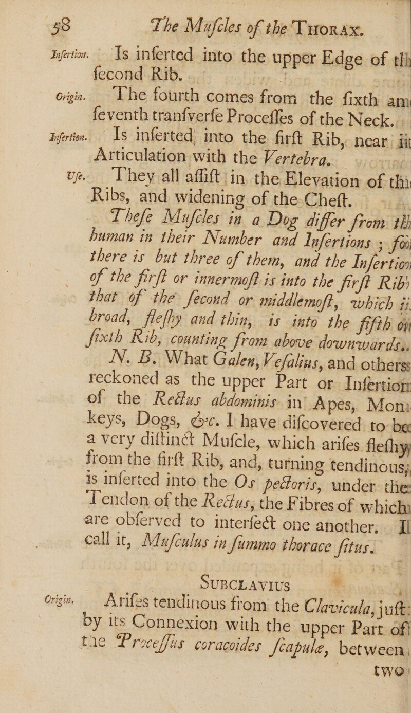 Byrn. Ts inferted into the upper Edge of thi fecond Rib. ohivr | yee orgn. “The fourth comes from the fixth am feventh tranfverfe Procefles of the Neck... hyertin. — Is inferted: into the. firtt Rib, near. ii Articulation with the Vertebra, re ve. “They all affift in the Elevation of thi Ribs, and widening of the-Cheft. i aS Thefe Mufcles in a Dog differ from +h human in their Number and Lnfertions ; foi there is but three of them, and the Tnfertion of the firft or innermoft is into the jirft Rib’ that of the fecond or middlemoft, which ii broad, flefhy and thin, is into the fifth oy fixth Rib, counting from above downwards. NN. B. What Galen, Vefalius, and others: reckoned as the upper Part or. Infertion of the Reus abdominis. in Apes, Moni keys, Dogs, Gv. I have difcovered to be avery diftinét Mufcle, which arifes flefhyy from the firft Rib, and, turning tendinous; is inferted into the Os pectoris, under the ‘Tendon of the Kedus, the Fibres of which: are oblerved to interfe& one another, II call it, Mufculus in Jummo thorace fitus. | SUBCLAVIUS . 4 Orsi, — Arifes tendinous from the Clavicula, jut: by its Connexion with the upper Part of} tae Proceflis coracoides Jcapule, between, | two: