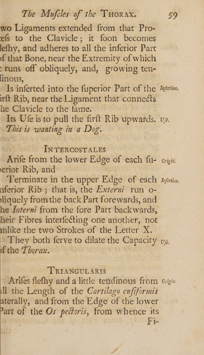 wo Ligaments extended from that Pro- efs to the Clavicle; it foon becomes lefhy, and adheres to all the inferior Part f that Bone, near the Extremity of which runs off obliquely, and, growing ten- efotis, Is inferted into the fuperior Part of the ‘wérien, ft Rib, near the Ligament that connects he Clavicle to the fame. Its Ufe is to pull the firft Rib upwards. Up. This is wanting in a Dog. IN TERCOST ALES Arife from the lower Edge of each fu- origi erior Rib, and: Terminate in the upper Edge of each tyirticn, nferior Rib; that is, the Externi run o- eee fromthe back Part forewards, and he Interni from the fore Part backwards, heir Fibres interfecting one another, not unlike the two Strokes of the Letter X. They both ferve to dilate the Capacity vg. Ff the Thorax. | | TRIANGULARIS | | » Arifes flefhy and a little tendinous from ori. = the Length of the Cartilago enfiformis terally, and from the Edge of the lower art of the Os pectoris, from whence its | Fi I-