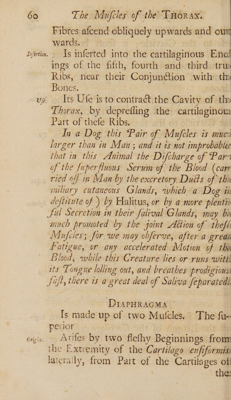 Fibres afcend obliquely upwards and out wards. : 3 ijirtin. - Js inferted into the cartilaginous Ene ings of the fifth, fourth and. third tru Ribs, near their Conjun@ion with th Bones. | | up. Its Ufe is to contract: the Cavity of th Thorax, by deprefling the cartilaginow Part of thefe Ribs. | In a Dog this Pair of Mufcles is muc larger than in Mun ; and it is not improbable that in this Animal the Difcharge of Pars of the fuperfluous Serum of the Blood (carr ried off in Man by the excretory. Dudts of thi iniliary cutaneous Glands, which a Dog ii deftitute of ) by Halitus, or by a more plentii Sul Secretion in their falival Glands, may bi much promoted by the joint Adtion of theft Mufcles; for we may obferve, after a greai fatigue, or any accelerated Motion of tho Blood, while this Creature lies or runs witli its Tongue lolling out, and breathes prodigious: Saft, there is a great deal of Saliva feparatedi beg DrapHRAGMA Ts made up of two Mulcles. The fu-- perior | = eign. Arifes by two flefhy Beginnings from the Extremity of the Cartilago enfiformiss lateraily, from Part of the Cartilages off | . the:
