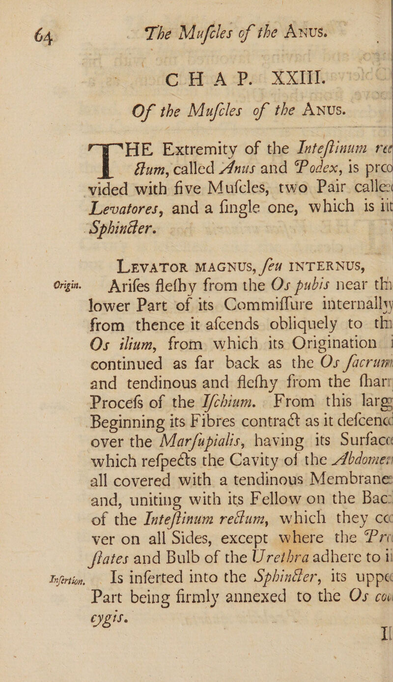 Origin. CH A :P.° XXIil. Of the Mufeles of the ANUs. HE Extremity of the Inteftinum ree um, called Anus and Podex, 1s pro Levatores, and a fingle one, which is iit LEVATOR MAGNUS, fea INTERNUS, Arifes flelhy from the Os pudis near th lower Part of its Commiflure internally from thence it afcends obliquely to th Os ilium, from which its Origination | continued as far back as the Os facrum and tendinous and flefhy from the fharr Procefs of the I/chium. From this larg Beginning its Fibres contract as it defcen« over the Marfupialis, having its Surface which refpects the Cavity of the bdomen all covered with a tendinous Membrane and, uniting with its Fellow on the Bac: of the Inteftinum rectum, which they ce ver on all Sides, except where the Pre flates and Bulb of the Urethra adhere to 11 Is inferted into the Sphinder, its uppe« Part being firmly annexed to the Os cou CVE tS. I