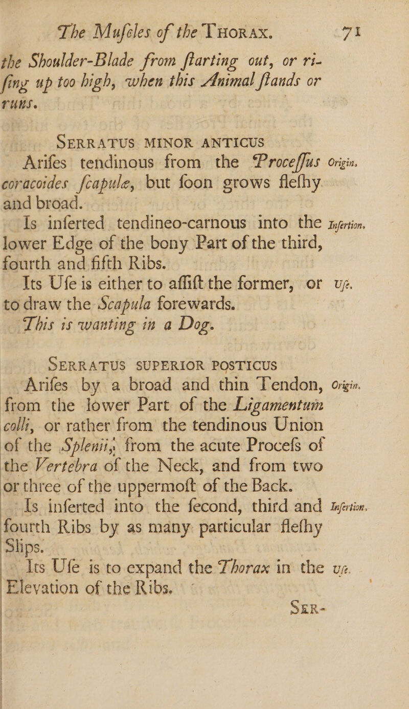 the Shoulder-Blade from farting out, or ri- fing, up too high, when this Animal fands or runs. SERRATUS MINOR ANTICUS Arifes tendinous from the Proceffus origin. coracoides fcapule, but foon grows flelhy. and broad. Is inferted as ereeiieenr ee into the twyéertion lower Edge of the bony Part of the third, fourth and fifth Ribs. Its Ufe is either to affiftthe former, or vy. to draw the Scapula forewards. ‘This is wanting in a Dog. SERRATUS SUPERIOR POSTICUS Arifes. by a broad and thin Tendon, org. from the lower Part of the Ligamentuin colli, or rather from the tendinous Union of the Splenii, from the acute Procefs of the Vertebra of the Neck, and from two a three of the uppermott ‘Of the Back. Is inferted into the fecond, third and ifrtion. at Ribs by as many: particular flefhy lips - Its Ufe is to expand the Thorax in the ve. Elevation of the Ribs. SER-