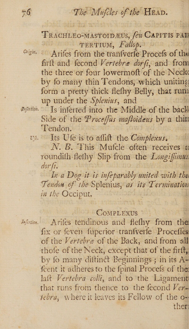 56 ; netted of vitasoesi Ti darialos “MASTOID £Us, few CAPITIS PAN pentium, Fallop. Origin <<” Arifes from the traifverfe Procefs of th firft and fecond Vertebre dorfi, and from the three or four lowermoft of the Neck by fo many thin Tendons, which uniting form a pretty thick flefhy Belly, that. rum up under the Splenius, and inprtion. Ts inferted into the Middle of the back Side of the Proce/fus mafsoideus by a thin ‘Tendon. | | ue Its Ufe is to affitt the Complexus. N. &amp;B. -‘TYhis Mufcle often receives < roundifh-fielhy Ship from the Longiffi mus. dor ft | | fr a Dog itis infe parably united with she Tendon of “be Splenius, as its Termination in the Occiput, sy A : CoMPLEXUS ©, | bfnin. Arifes tendinous and flefhy from the fix or feven fuperior ‘tranfverfe Procefies of the Vertebre of the Back, and from all thofe of the Neck, except that of the firft, by fo many diftinét Besinnings ; in its A= fcent it adheres to the fpinal Procefs of the: laft Vertebra colli, and to the Ligament that runs from thence to: the fecond Vers febra, where it leaves its Fellow of the o-
