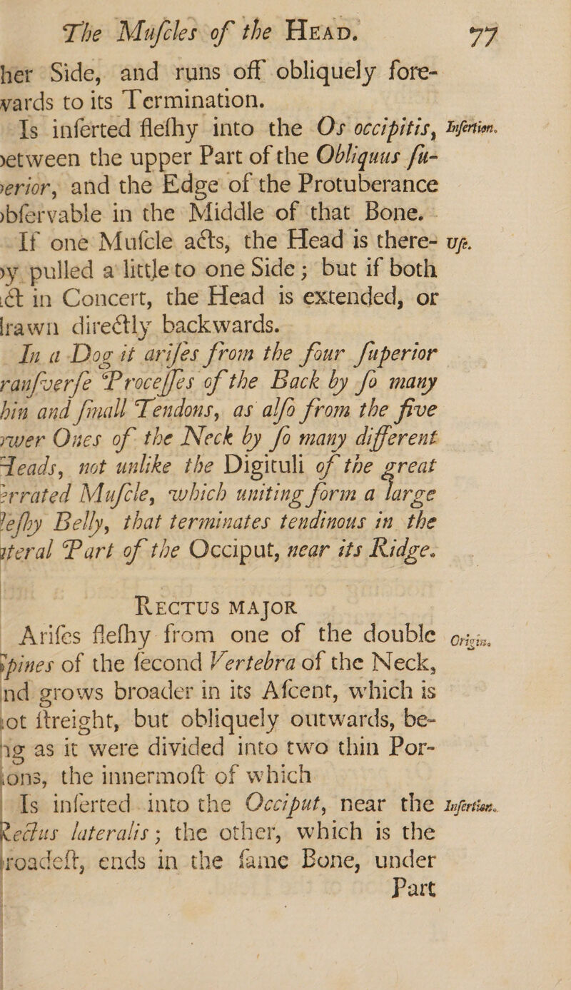 her Side, and runs off obliquely fore- wards to its Termination. Is inferted flefhy into the Os occipitis, yetween the upper Part of the Obliquus fu- erior, and the Edge’ of the Protuberance ybfervable in the Middle of that Bone. - If one Mufcle acts, the Head is there- YY pulled a little to one Side ; but if both &amp; in Concert, the Head is extended, or lrawn directly backwards. In a Dog it arifes from the four fuperior raufverfe Proceffes of the Back by fo many Infertion. Uf. wer Oues of the Neck by fo many different Teads, not unlike the Digituli of the great orrated Mufcle, which uniting form a aoe lefhy Belly, that terminates tendinous in. the weral ‘Part of the Occiput, near its Kidge. RECTUS MAJOR - Arifes flelhy from one of the double spines of the fecond Vertebra of the Neck, nd grows broader in its Afcent, which is ot itreight, but obliquely outwards, be- ig as it were divided into two thin Por- ons, the innermoft of which Is inferted.into the Occrput, near the edus lateralis; the other, which is the roadeft, ends in the fame Bone, under Part Origuz. Infertion..