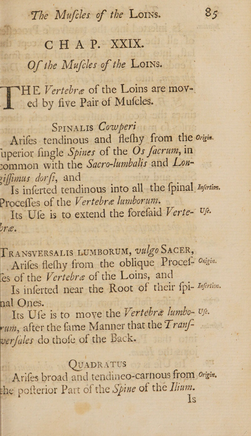 CH A P.- XXIXx. | Of the Mujéles of the Loins. ‘HE Vertebre of the Loins are mov=. ed by five Pair of Mufcles. SPINALIS Cowpert. - : Arifes tendinous and flefhy from the origi. uperior fingle Spines of the Os facrum, in common with the Sacro-lumbalis and Lon- riffimus dor ft, and | | Is inferted tendinous into all the fpinal Zyertios Procefles of the Vertebre lumborum. Yes is to extend the forefaid Verie- U- IVR > Rbsxevanaace LUMBORUM, Vilgo SACER, __Arifes flefhy from the oblique Procel- Oxigix. es of the Vertebre of the Loins, and Ts inferted near the Root of their {pi- Zyertion. pal Ones. indy i Tres Ufe is to move the Vertebreé lumbo- up. um, after the fame Manner that the Tranf- . yerfales do thofe of the Back. ) QUADRATUS | Arifes broad and tendineo-carnous from orgix me pofterior Part of the Spine of the um. | Is | \ |