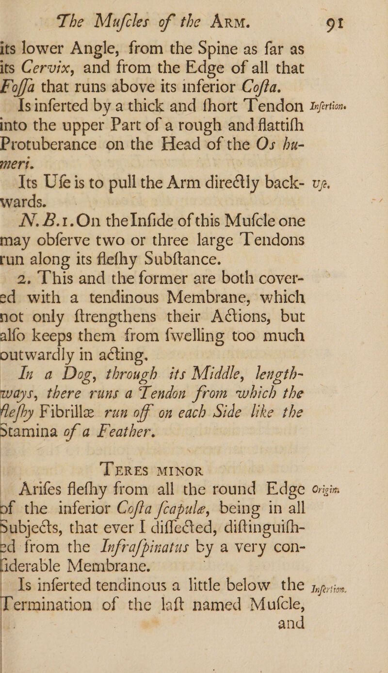 its lower Angle, from the Spine as far as its Cervix, and from the Edge of all that Foffa that runs above its inferior Co/fa. Isinferted by a thick and fhort Tendon tyfrtion into the upper Part of a rough and flattifh Protuberance on the Head of the Os hu- meri. Its Ufe is to pull the Arm directly back- ug. wards. N.B.1.On theInfide of this Mufcle one may obferve two or three large ‘Tendons run along its flelhy Subftance. 2, This and the former are both cover- ed with a tendinous Membrane, which not only ftrengthens their Actions, but alfo keeps them from {welling too much outwardly in acting. In a Dog, through its Middle, length- Ways, there runs a Tendon from which the flefhy Fibrille run off on each Side like the Stamina of a Feather. ee ‘TERES MINOR __Anifes flefhy from all the round Edge origin of the inferior Coffa fcapule, being in all Subjects, that ever I diffected, diftinguith- d from the Lnfrafpinatus by a very con- iderable Membrane. Is inferted tendinous a little below the syersioy, r rmination of the laft named Mulcle, | and