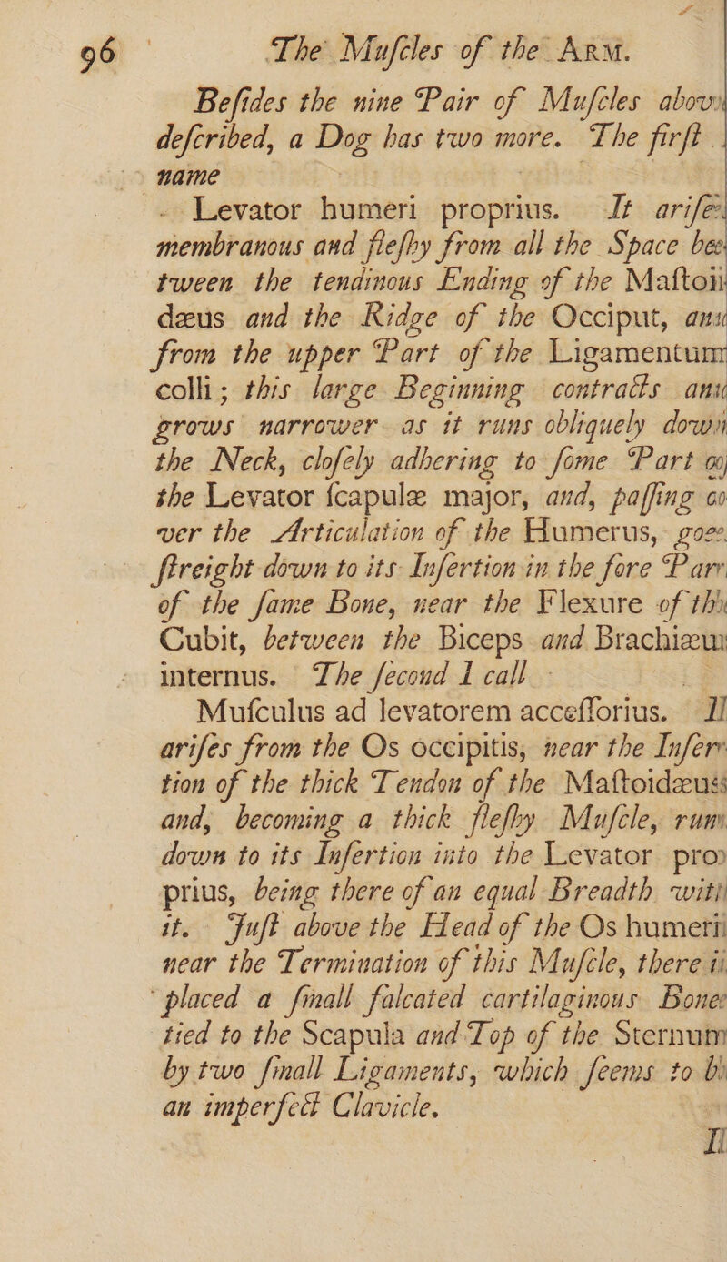 Befides the nine Pair of Mufcles abov defcribed, a Dog has two more. The firft. Levator humeri proprius. It arife membranous and fiefhy from all the Space bee tween the tendinous Ending of the Matto dzus and the Ridge of the Occiput, ans from the upper Part of the Ligamentun colli ; this large Beginning contratts ani crows narrower as it runs obliquely down the Neck, clofely adhering to fome Part w the Levator {capule major, and, paffing ao ver the Articulation of the Humerus, goee fireight down to its Infertion in the fore “Parr of the fame Bone, near the Flexure of th Cubit, between the Biceps and Brachizew internus. The fecond 1 call | Mufculus ad levatorem accefforius. D arifes from the Os occipitis, near the Infer tion of the thick Tendon of the Mattoideuss and, becoming a thick flefhy Mufcle, rum durum to its Infertion into the Levator pro prius, being there of an equal Breadth with it. “Fuft above the Head of the Os humerti near the Termination of this Mufcle, there ii ‘placed a fmall falcated cartilaginous Bonee tied to the Scapula and Top of the Sternum by two finall Ligaments, which feems to b) an imperfect Clavicle. I