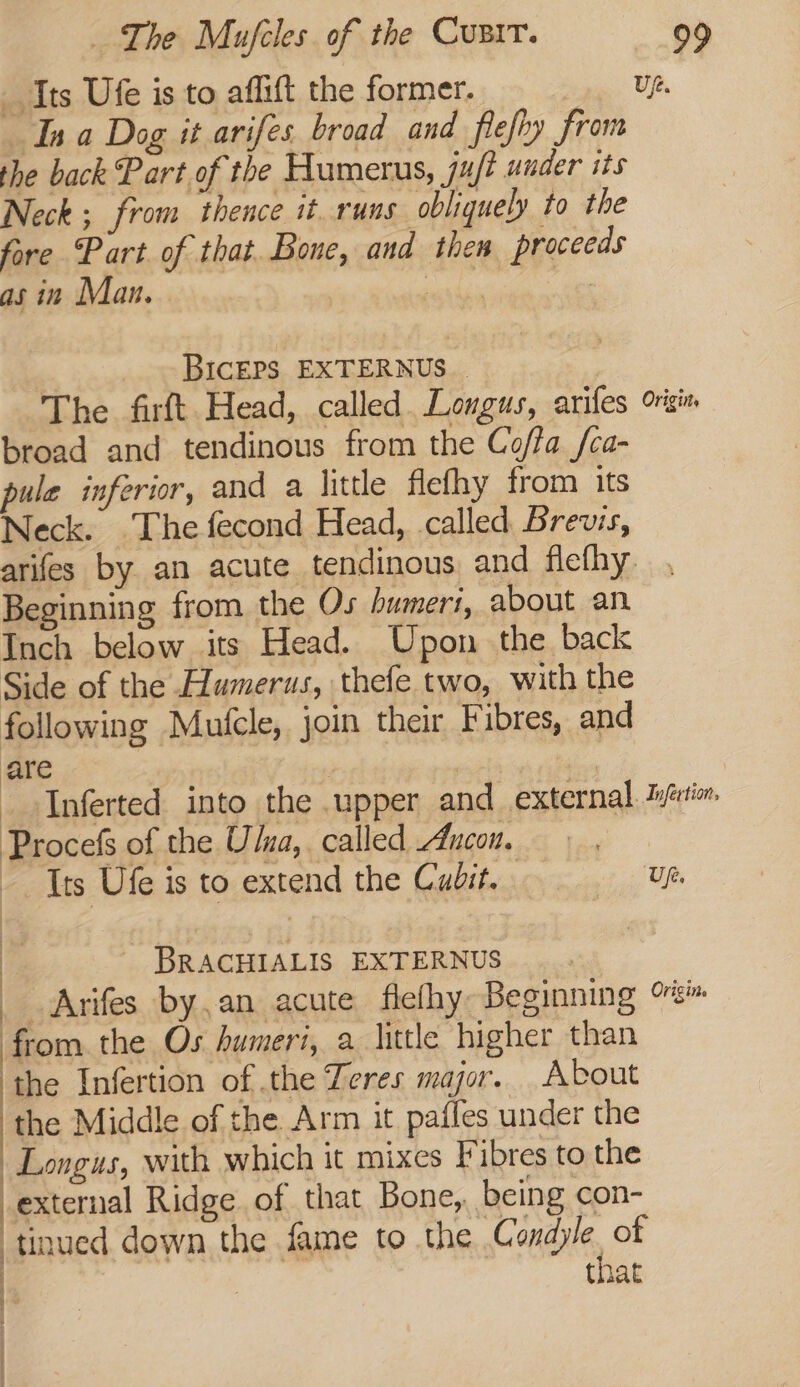 Its Ufe is to affift the former. Saas UR. Ina Dog it arifes broad and flefhy from the back Part of the Humerus, juft uader its Neck ; from thence it. runs obliquely to the fore Part. of that..Bone, and then proceeds as in Man. | inewlagge™ | BicEPs EXTERNUS ) The firft Head, called. Longus, arifes orsiv broad and tendinous from the Coffa /ca- pule inferior, and a little flefhy from its Neck. The fecond Head, called. Brevis, arifes by an acute tendinous and flefhy , Beginning from the Os bumeri, about an Inch below its Head. Upon the back Side of the Humerus, thefe two, with the following Mulcle, join their Fibres, and are | | _ Inferted into the .upper and external. Jyéxtion Procefs of the Ula, called Ancon. Its Ufe is to extend the Cadit. Up. : _ BRACHIALIS EXTERNUS _ Arifes by.an acute fiefhy Beginning from. the Os humeri, a lutle higher than ‘the Infertion of the Zeres major. About the Middle of the Arm it pafles under the Longus, with which it mixes Fibres to the external Ridge of that Bone, being con- tinued down the fame to the HN, of | that ————