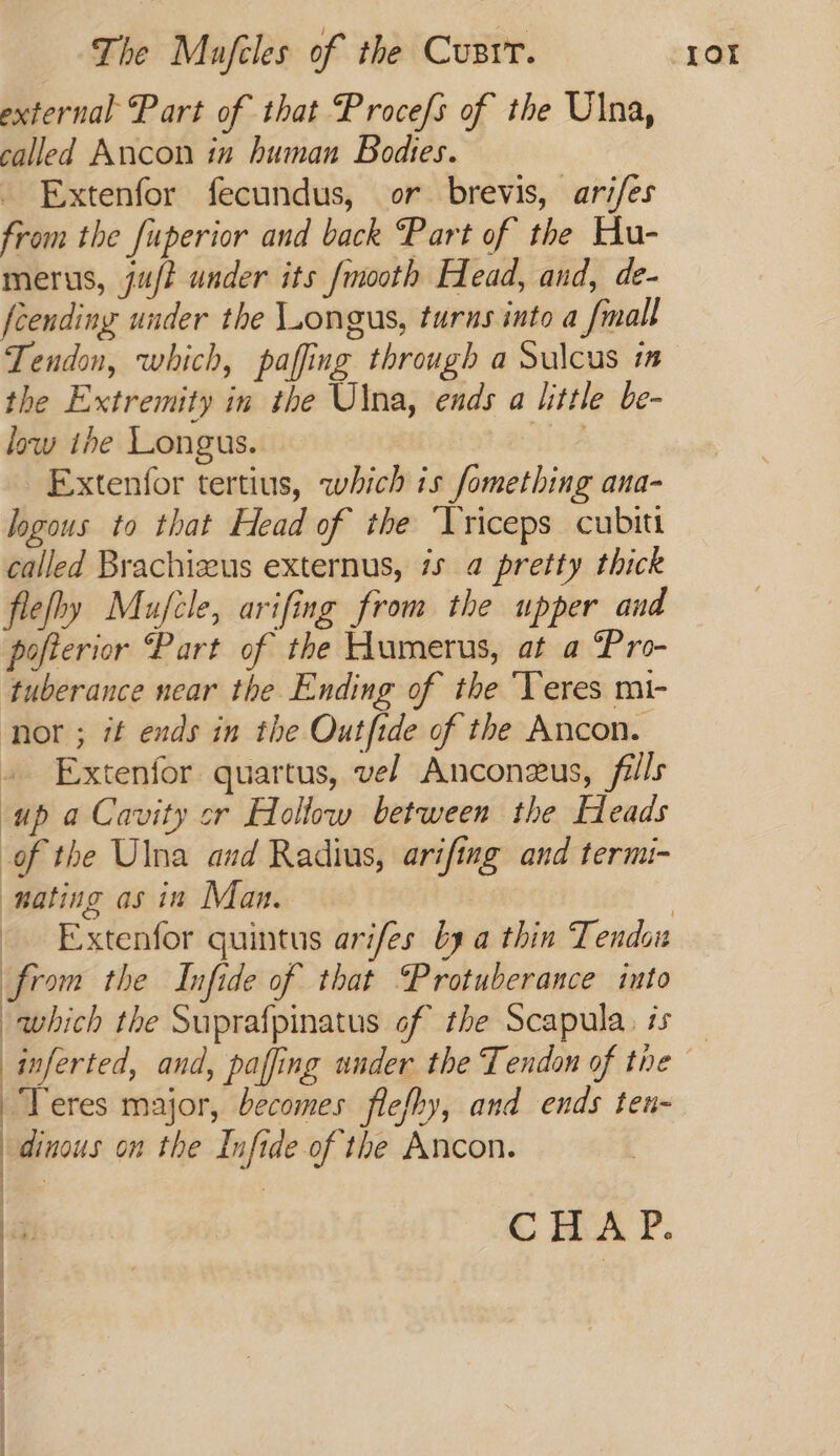 external Part of that Procefs of the Ulna, called Ancon in human Bodies. _ Extenfor fecundus, or brevis, ari/es from the fuperior and back Part of the Hu- merus, ju/t under its /mooth Head, and, de- {cending under the Longus, turus into a {mall Tendon, which, paffing through a Sulcus im the Extremity in the Ulna, ends a little be- low ihe Longus. dnd Extenfor tertius, which is fomething ana- logous to that Head of the ‘Triceps cubitt called Brachizus externus, is @ pretty thick flefhy Mufcle, arifing from the upper and pofterior Part of the Humerus, at a “Pro- tuberance near the Ending of the ‘Yeres mi- nor ; if ends in the Outfide of the Ancon. » Extenfor quartus, vel Anconeus, fills up a Cavity or Hollow between the Heads of the Ulna and Radius, arifing and termi- mating as in Man. from the Infide of that Protuberance into which the Suprafpinatus of the Scapula. is Teres major, becomes flefhy, and ends ten- dinous on the Infide of the Ancon. : C HA P. \ \