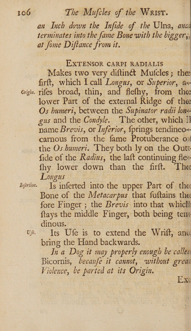 Origin. Tnferiion. Us. n Inch down the Infide of the Ulna, anc: terminates into the fame Bone with the biggery, at fome Diftance from it. EXTENSOR CARPI RADIALIS Makes two very diftinét Mufcles ; the firft, which I call Longus, or Superior, ax rifes broad, thin, and flefhy, from the lower Part of the external Ridge of th Os humeri, between the Supinator radii lone: gus and the Condyle. The other, which II name Brevis, or Inferior, {prings tendineo-- carnous from the fame Protuberance 0! the Os bumeri. ‘They both ly on the Outt. fide of the Radius, the laft continuing fle- fhy lower down than the firft. ‘Thee Longus Is inferted into the upper Part of. the Bone of the Metacarpus that fuftains the fore Finger ; the Brevis into that whiclh {tays the “middle Fi inger, both being tem dinous. Its Ufe is to extend the Wrift, anu bring the Hand backwards. In a Dog it may properly enough be callee Bicornis, becaufe it cannot, without greai Violence, be parted at its Origin. [xe
