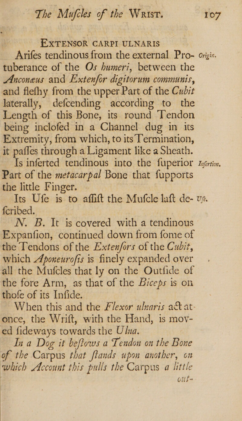EXTENSOR CARPI ULNARIS Arifes tendinous from the external Pro- origi:. tuberance of the Os humeri, between the Anconeus and Extenfor digitorum communis, and flefhy from the upper Part of the Cubit laterally, defcending according to the Length of this Bone, its round Tendon being inclofed in a Channel dug in its Extremity, from which, to its Termination, it pafles through a Ligament like a Sheath. Is inferted tendinous into the fuperior tyértio, Part of the metacarpal Bone that fupports the little Finger. Its Ufe is to affift the Mufcle laft de- vy. {cribed. 3 N. B. It is covered with a tendinous Expanfion, continued down from fome of the Tendons of the Extenfors of the Cudit, which Aponeurofis is finely expanded over all the Mufcles that ly on the Outfide of the fore Arm, as that of the Biceps is on thofe of its Infide. When this and the Flexor ulvaris a&amp;t at- once, the Wrift, with the Hand, is mov- ed fideways towards the Ulua. Ina Dog it beftows a Tendon on the Bone of the Carpus that fiands upon another, on which Account this pulls the Carpus a little oufe : :