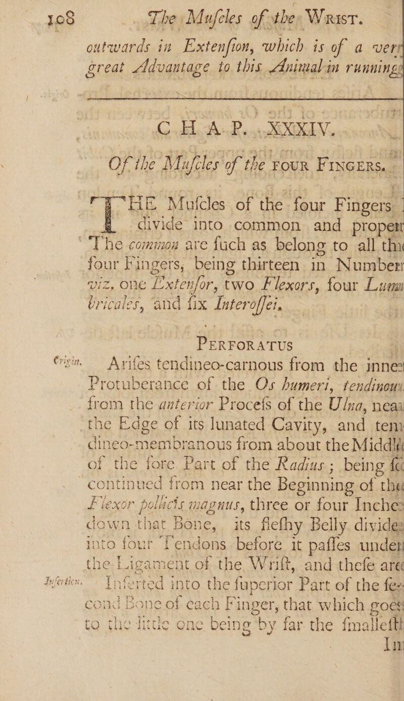 outwards in Extenfion, iehich is of a ver gre eat eg to this Animal qn running HE Mulcles of the a Fingers divide: into common. and pro: four Fingers, being thirteen in Number viz, one Lxten/or, two F lexors, four Lum ‘bricales, ‘and {x Interoffei, we gataver Arifes tendineo-carnous from the inne Protuberance of the Os humeri, tendinoux from the anterior Procefs of the ten neaa dineo-membrz anous from about the Middl of the fore Part of the Radius ; being {« Flexor pollicis magnus, three or four Inche down thet Bone, its fiefhy Belly. divides into four ‘Tendons before it pafles unde the Ligament of the Wrift, and thefe are iF fey ‘ted into the faperior Part of the fez cond Bone of each Finger, that which goes to i. as one being by far the fimallettt im