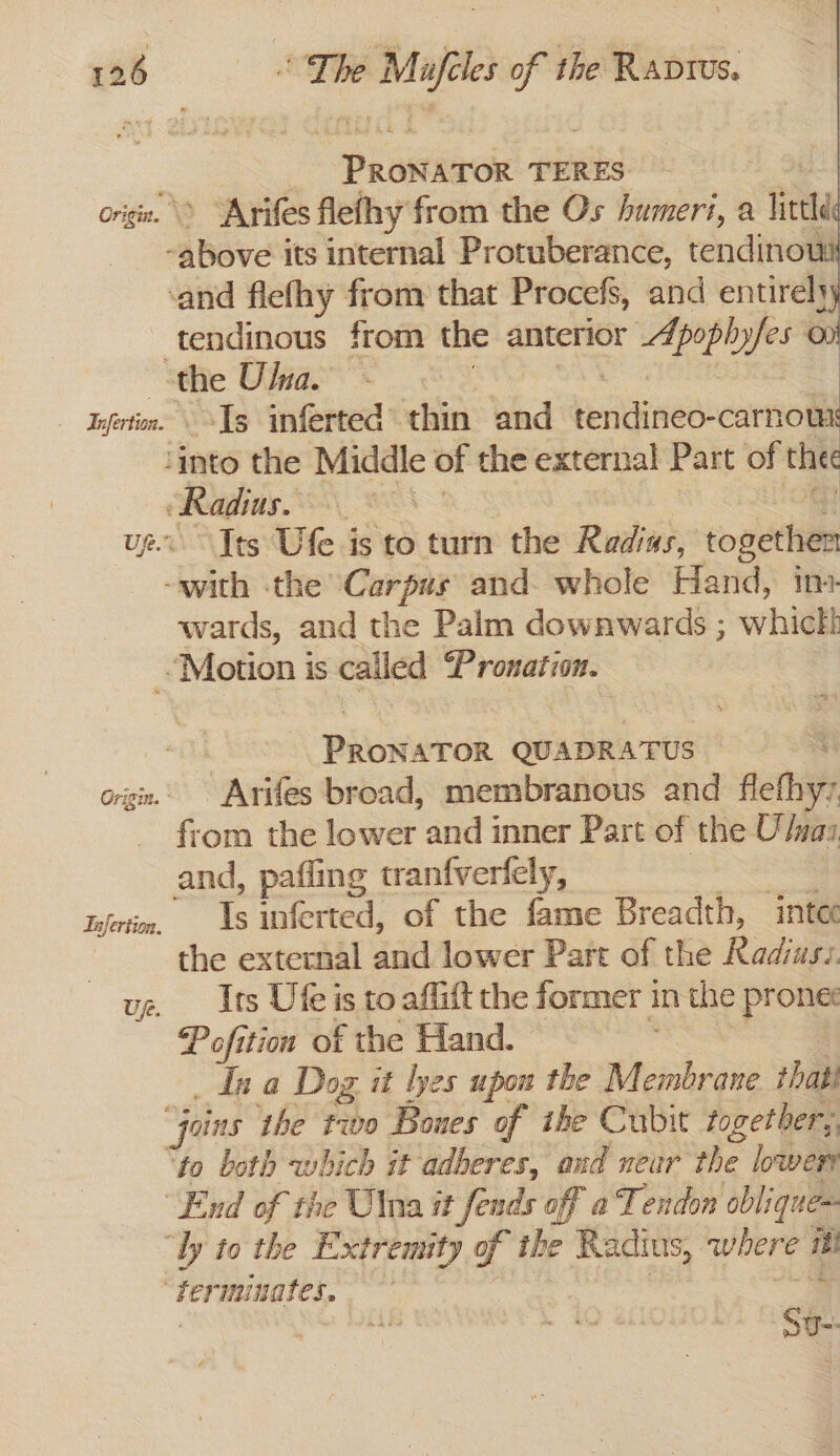- Infertion. ) Pietiad TERES - &gt; “Arifes flefhy from the Os humeri, a littl tendinous from the anterior Apoph yfes © Is inferted thin and Siciatmeaieert) our Its Ufe is to turn the Radias, togethen wards, and the Palm downwards ; whict! Pion’ ATOR QUADRATUS Arifes broad, membranous and flefhyy. from the lower and inner Part of the U/nas and, paffing tranfveriely, ? : Is inferted, of the fame Breadth, intec the external and lower Part of the Radius Irs Ufe is to affift the former in the prones Pofition of the Hand. _ Ina Dog it lyes upon the Whiskaie thatl ea Su--