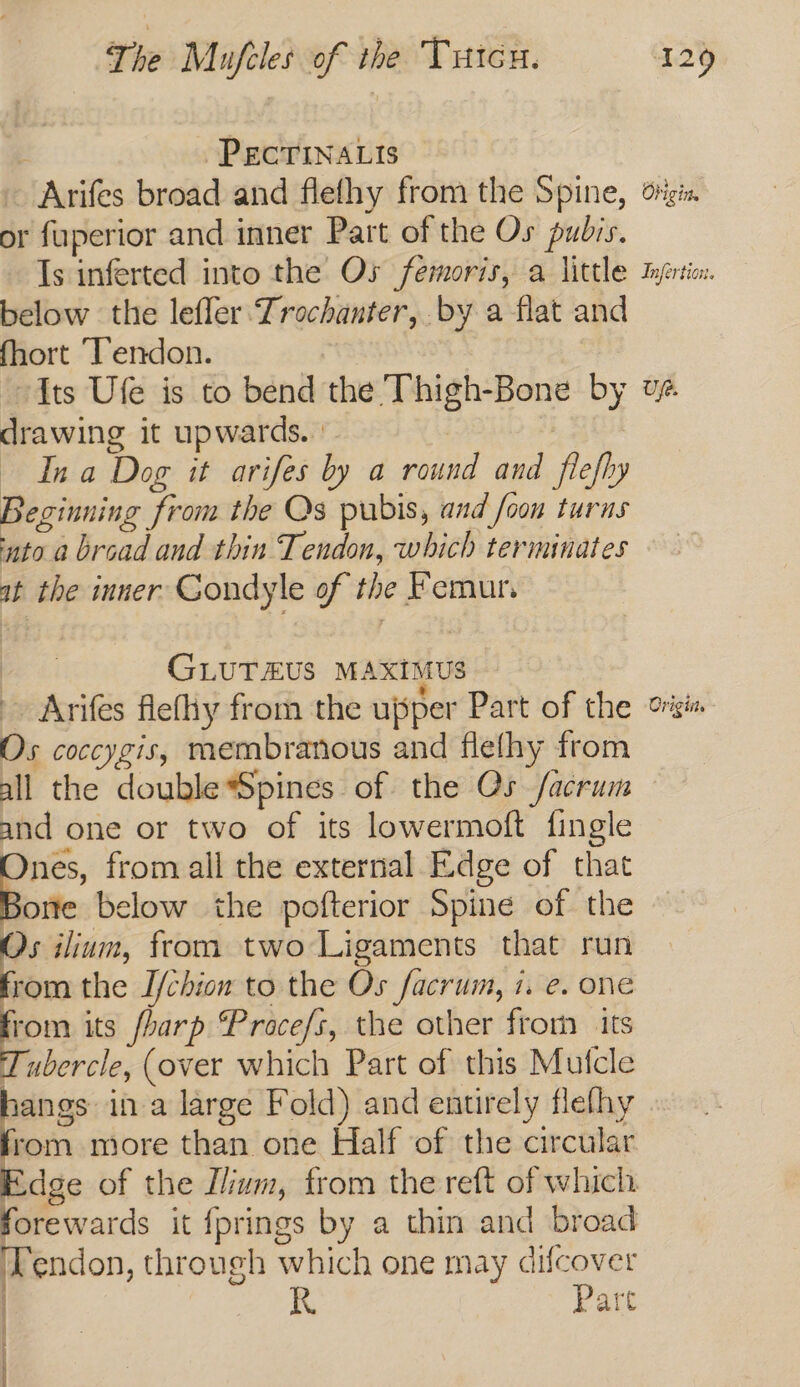 PECTINALIS or fuperior and inner Part of the Os pubis. below the lefler Trochanter, by a flat and fhort ‘Tendon. drawing it upwards. | Ina Dog it arifes by a round and fiefhy Beginning from the Qs pubis, and foon turns into a broad and thin Tendon, which terminates at the inner Condyle of the Femur. ee GLUTEUS MAXIMUS Arifes flefhy from the upper Part of the Os coccygis, membranous and flelhy from all the double *Spines of the Qs facrum and one or two of its lowermoft fingle % from all the external Edge of that Bone below the pofterior Spine of the a ilium, from two Ligaments that run from the I/chion to the Os facrum, 1. e. one se its fbarp Pracefs, the other from its Tubercle, (over which Part of this Mufcle ee in a large Fold) and entirely flefhy from more than one Half of the circular forewards it fprings by a thin and broad Tendon, through which one may difcover Part i | Origtit.