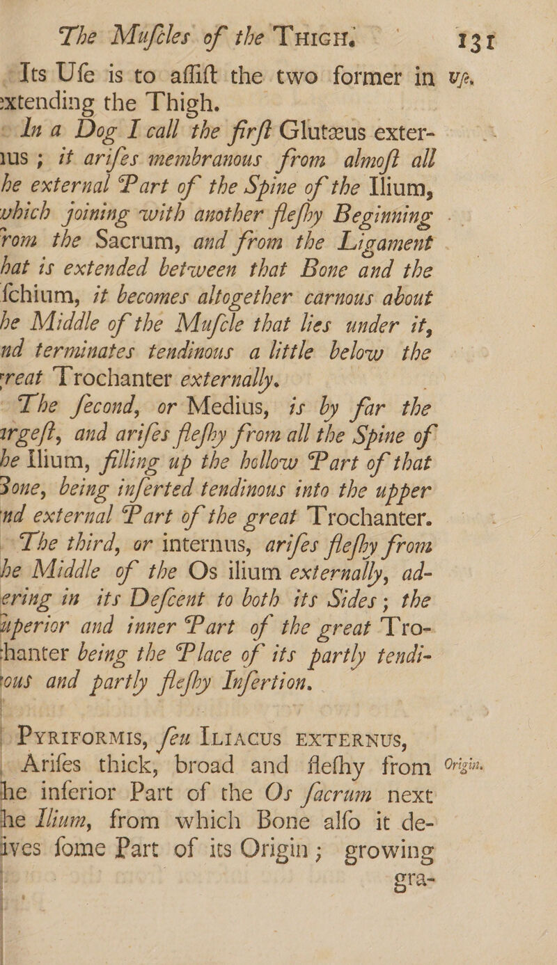 xtending the Thigh. | » Ina Dog I call the firft Glateus exter- lus ; i arifes membranous from almoft all he external Part of the Spine of the Ilium, rom the Sacrum, and from the Ligament hat is extended between that Bone and the {chium, it becomes altogether carnous about he Middle of the Mufele that lies under it, nd terminates tendinous a little below the reat ‘Vrochanter externally. ~The fecond, or Medius, is by far the geft, and arifes flefhy from all the Spine of be lium, filling up the bellow Part of that Sone, being inferted tendinous into the upper nd external Part of the great Tyrochanter. The third, or internus, arifes flefby from he Middle of the Os ilium externally, ad- ering in its Defcent to both its Sides; the uperior and inner Part of the great 'Tro- hanter being the Place of its partly tendi- ous and partly flefhy Infertion, fs | » Pyrirormis, feu Intacus EXTERNUS, . Arifes thick, broad and flefhy from he inferior Part of the Os facrum next he Ilium, from which Bone alfo it de- ives fome Part of its Origin; growing oe ora- Lene ..._._200erEN—_ - ee J 2