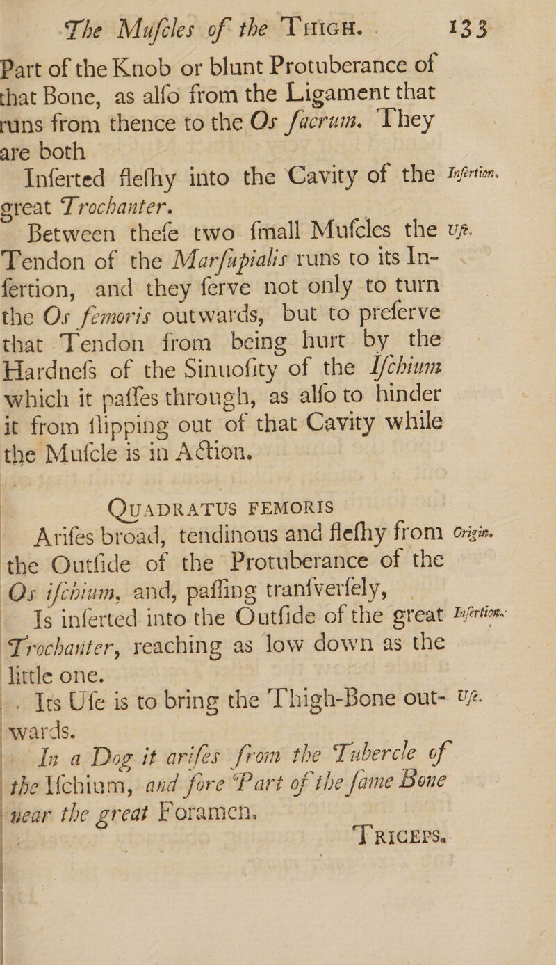 Part of the Knob or blunt Protuberance of that Bone, as alfo from the Ligament that runs from thence to the Os facrum. ‘They are both Inferted flefhy into the Cavity of the Zrtim. great Trochanter. Between thefe two fmall Mufcles the ve. Tendon of the Marfapialis runs to its In- fertion, and they ferve not only to turn the Os femoris outwards, but to preferve that Tendon from being hurt by the Hardnefs of the Sinuofity of the I/chium which it paffes through, as alfo to hinder it from flipping out of that Cavity while the Mutcle is in Action. i QuADRATUS FEMORIS Arifes broad, tendinous and flefhy from orgie. the Outfide of the Protuberance of the Os ifchium, and, pafling traniverfely, — Is inferted into the Outfide of the great 7értion Trochanter, reaching as low down as the little one. _. Its Ufe is to bring the Thigh-Bone out- ué. wards. ) In a Dog it arifes from the Tubercle of the Mchiam, and fore Part of the fame Bone wear the great Poramen. : . TRICEPS.