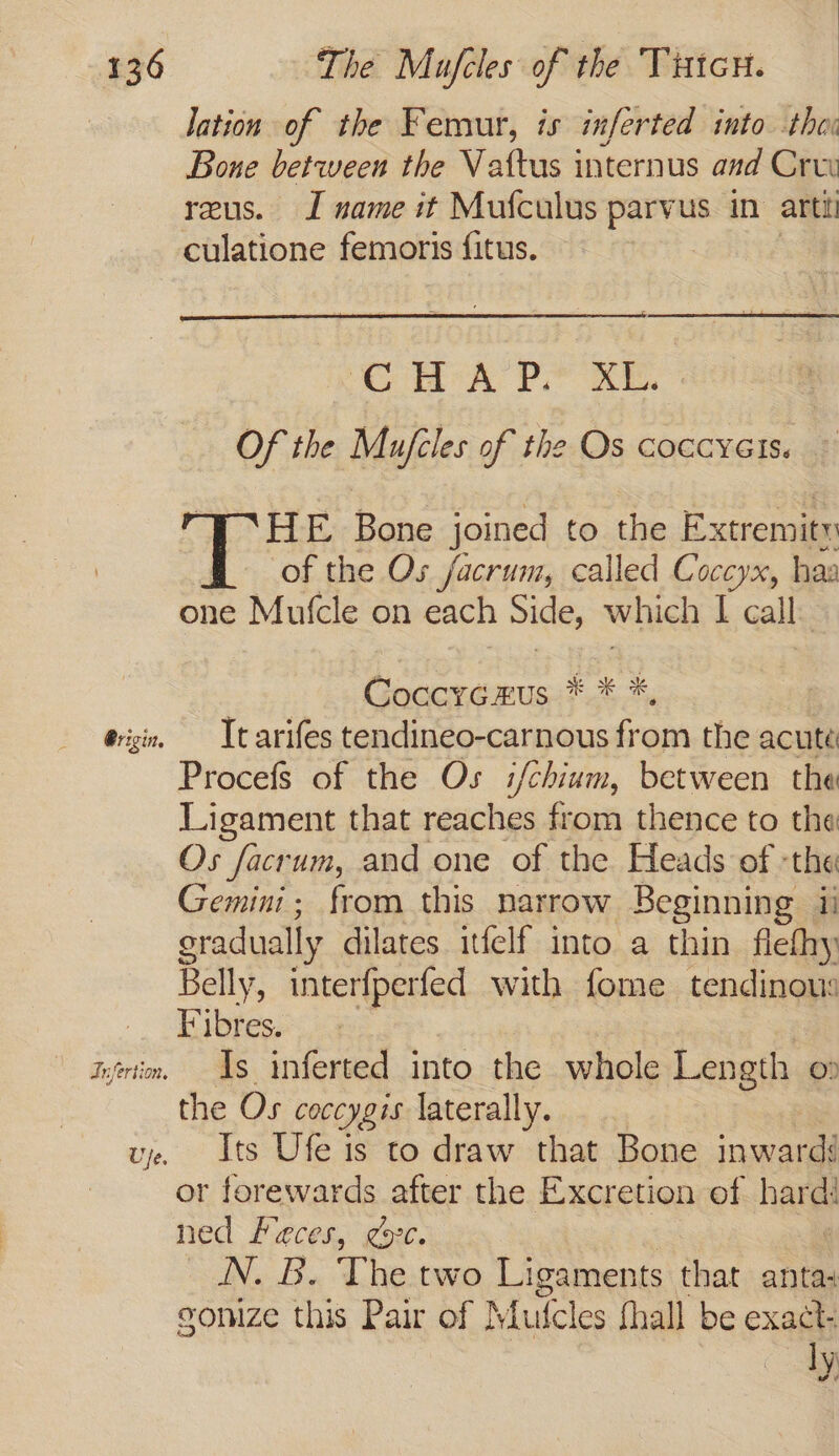 lation of the Femur, is inferted into thoi Bone between the Vattus internus and Crvu reus. J name it Mufculus parvus in arti culatione femoris fitus. ‘ComsA PY RE. Of the Mejeles of the Os coccyGis. HE Bone joined to the Extremity of the Os facrum, called Coccyx, haa one Mufcle on each Side, which I call: Coccrcaus.*.* *, @isin. It arifes tendineo-carnous from the acute Procefs of the Os i/chium, between the Ligament that reaches from thence to the Os facrum, and one of the Heads of -the Gemini; from this narrow Beginning i! oradually dilates itfelf into a thin flethy Belly, interfperfed with fome tendinous -_ Fibres. 3 njrtin, Is inferted into the whole Length o» the Os coccy gis laterally. uy. its Ufe is to draw that Bone inwards or forewards after the Excretion of hard! ned Feces, ¢5°C. N. B. The two Ligaments that anta: gonize this Pair of Mufcles fhall be exact: ly