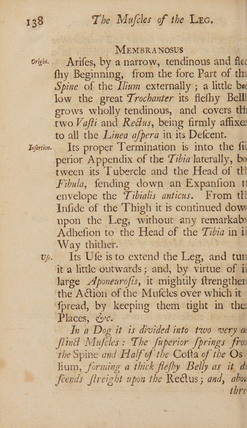 Origin. te MEMBRANOSUS Arifes. by a narrow, tendinous and flee % % y ? ' fhy Beginning, from the fore Part of th Infertion. stows wholly tendinous, and covers th to all the Linea a/pera in its Defcent. Its proper Termination is into the fi perior Appendix of the Tsbva laterally, bo tween its Tubercle and the Head of tt! Fibula, fending down an Expanfion t envelope the Tibialis anticus. From tii Infide of the Thigh it is continued dow upon the Leg, without any remarkab» Adhefion to the Head of the Zibia in 11 Way thither. ie Its Ufe is to extend the Leg, and tur it a littl outwards; and, by virtue of ii large Aponeurofis, it mightily ftrengther the Action of the Mufcles over which it fpread, by keeping them tight in the Places, °c. s In a Dog it is divided into two very a: fimd Mufcles: The fuperior fprings fro: ‘the Spine and Half of the Cofta of the Os: lium, forming a thick flefby Belly as it di | thre