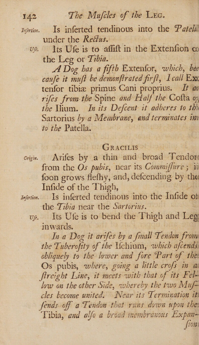 Infertion. Up. The Mafcles of the Luc. Is inferted tendinous into the P atelll under the Redfus. &gt; Its Ufe is to affift in the Extenfion a the Leg or Tibia. 3 Al Dog has a fifth Extenfor, which, bee Origin. Infertion. Up. tenfor tibia primus Cani proprius. Jf au rifes from the Spine and Half the Cofta oy, the lium. In its Defcent it adheres to th) Sartorius by @ Membrane, and terminates 1m to the Patella. ‘GRACILIS &gt; . Arifes by a thin and broad Tendon from the Os pubis, near its Commiffure ; wi foon grows flefhy, and, defcending by the Infide of the Thigh, eee | Is inferted tendinous into the Infide ob the Zibia near the Sartorius. Its Ufe is to bend the Thigh and Leg: inwards. : In a Dog it arifes by a fall Tendon from the Tuberofity of ihe Uchium, which afcends. obliquely to the lower and fore Part of thei Os pubis, where, going a little crofs in a freight Line, it meets with that of its Fel- low on the other Side, whereby the two Muf- cles become united. Near its Termination itt fends off a Tendon that runs dowa upon thei Tibia, and alfo a broad membranous Expan fton!