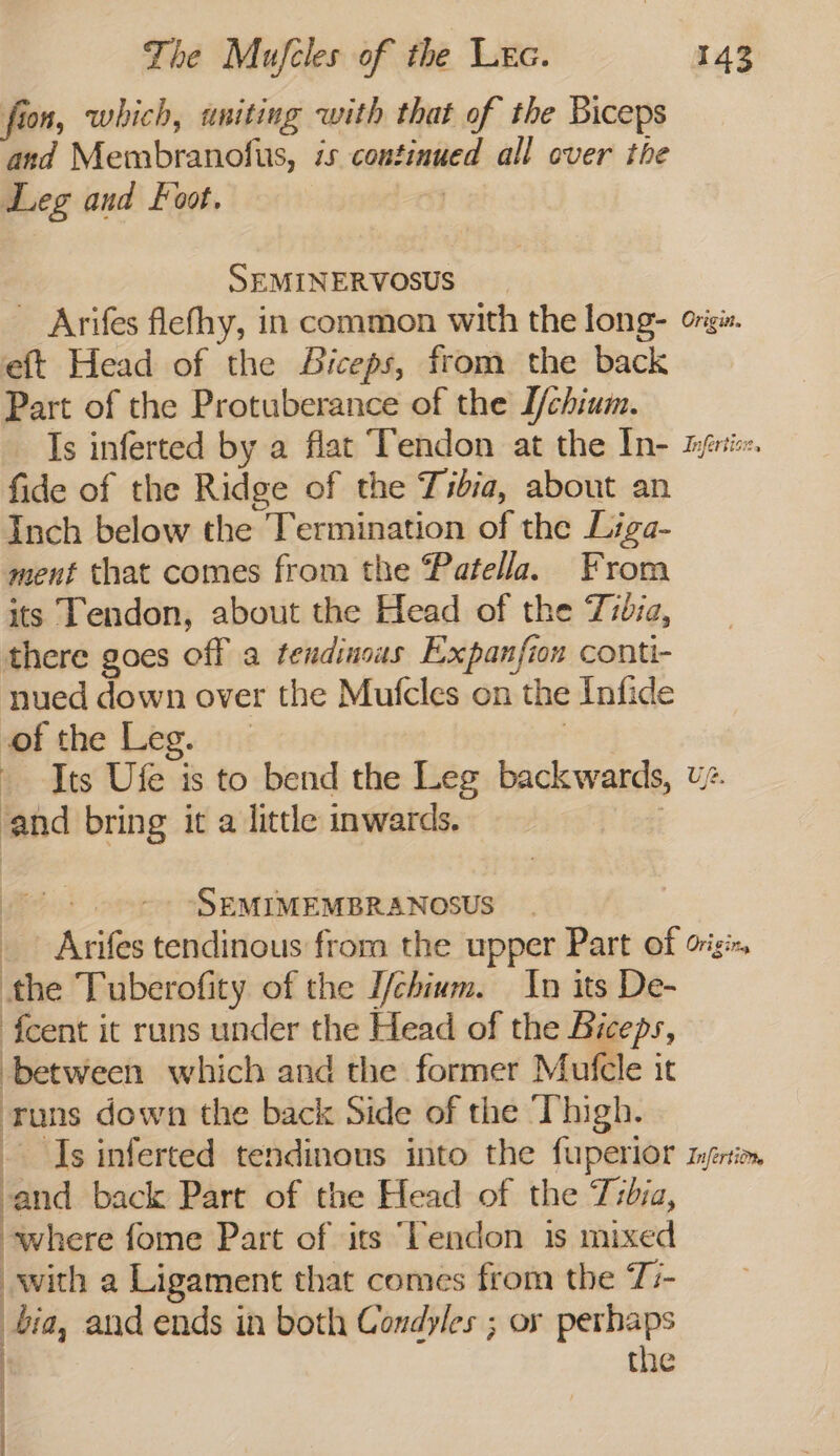 fion, which, aniting with that of the Biceps and Membranolus, is continued all over the Leg and Foot. | SEMINERVOSUS _ Arifes flefhy, in common with the long- origi. eft Head of the Siceps, from the back Part of the Protuberance of the I/chium. Is inferted by a flat Tendon at the In- mri. fide of the Ridge of the Tibia, about an Inch below the Termination of the Liga- ment that comes from the Patella. From its Tendon, about the Head of the Tibia, there goes off a tendinous Expanfion conti- nued down over the Mufcles on the Infide of the Leg. | Its Ufe is to bend the Leg backwards, ue. ‘and bring it a little inwards. | &gt; ooo» -SEMIMEMBRANOSUS _. Arifes tendinous from the upper Part of origi, the Tuberofity of the I/chium. In its De- fcent it runs under the Head of the Biceps, between which and the former Mufcle it uns down the back Side of the ‘Thigh. Is inferted tendinous into the fuperior mérim, and back Part of the Head of the Tsbia, where fome Part of its Tendon is mixed with a Ligament that comes from the T:- bia, and ends in both Condyles ; or perhaps | | the :