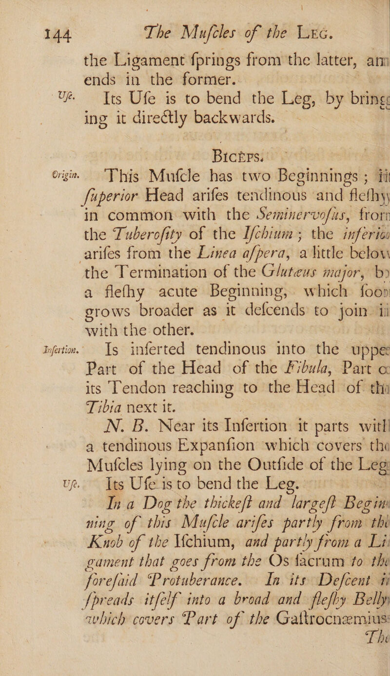 Uf. Origin. Fnfertion. ° the Ligament fprings from the latter, an ends in the former. Its Ufe is to bend the Leg, by brings ing it directly backwards. Bichps. This Mufcle has two Beginnings ; ii fuperior Head arifes tendinous ‘and flefhyy in common with the Seminervofus, frore the Tuberofity of the I/chium; the jnpferi arifes from the Linea a/pera, ahitle below ‘the Termination of the Glateus major, b» a flefhy acute Beginning, which foon grows broader as it defcends to join ii with the other. Is inferted tendinous into the — Uppe Part of the Head of the Fybula, Part &amp; its Tendon reaching to the Head of. tha Tibia next it. N. B. Near its Infertion it parts witl! a tendinous Expanfion which covers the Mutcles lying on the Outfide of the -_ Its Ufe_is to bend the Leg. In a Dog the thickeft and largeft Bessa ning of this Mujcle arifes partly from the Kush of the Iichium, and partly from a Liv gament that goes from the Os facram to the forefaid Protuberance. Ia. its Defcent ti fpreads itfelf into a broad and flefby Belly which covers “Part of the meets he
