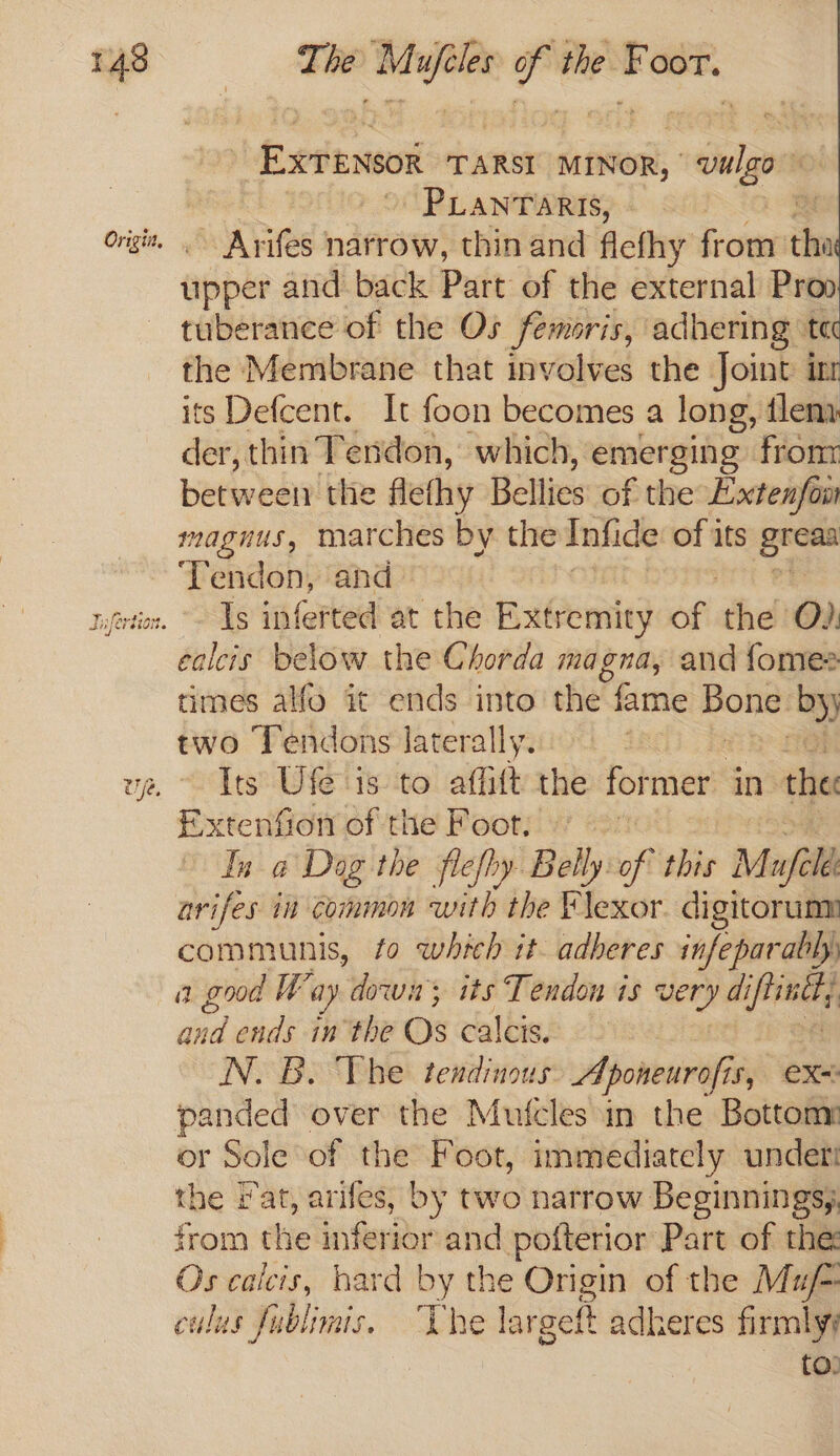 The web iti the . OOT. erieawoH TARSI MINOR, ome PLANTARIS, ites narrow, thin and flefhy from’ iin tipper and back Part of the external Proo tuberance of the Os femoris, adhering te the Membrane that involves the Joint ir its Defcent. It foon becomes a long, {lena der, thin Tendon, which, emerging fron between’ the flethy Bellies of the Extenfou magnus, marches by the Infide of its pcos cosy ‘and Is inferted at the Extremity fi the O?: ealcis below the Chorda magna, and fomes times alfo it ends into the fame pons ‘by) two Tendons laterally. Its Ufe is to affitt the former in the Extenfion of the Foot, In a Dog the flefhy Belly of this Mufele arifes in Common with the af lexor — communis, fo which it- adheres infeparabh a good W ay dow; its Tendon is very di fired and ends inthe Os calcis. N. B. The tendinous Aponeurofis, ex+ panded over the Mufcles in the Bottom: or Sole of the Foot, immediately undeti the iat, arifes, by two narrow Beginningsy, from the ean eee Part of the Os calcis, hard by the Origin of the Mu/- culus silat The lar geft adheres firmly? to.