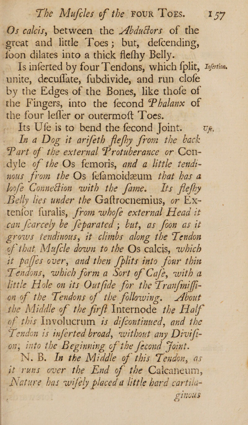 Os calcis, between the Abdudors of the great and little Toes; but, defcending, foon dilates into a thick flefhy Belly. Is inferted by four Tendons, which fplit, tyéertin unite, decuflate, fubdivide, and run clofe by the Edges of the Bones, like thofe of the Fingers, into the fecond Phalanx of the four lefler or outermoft Toes. Its Ufe is to bend the fecond Joint. —_ug. In a Dog it arifeth flefhy from the back Part of the external Protuberance or Con- dyle of the Os femoris, and a little tend:- nous from the Os fefamoideum that has a Joofe Counedtion with the fame. Its flefhy Belly lies under the Gaftrocnemius, or Ex- tenior furalis, from whofe external Head it can fcarcely be feparated ; but, as foon as it grows tendinous, it climbs along the Tendon of that Mufcle down to the Os calcis, which it paffes over, and then fplits into four thin —TLendons, which forma Sort of Café, with a little Hole on its Outfide for the Tran{miffi- on of the Tendons of the following. About the Middle of the firft Internode the Half of this Involucrum is difcontinued, and the | Tendon is inferted broad, without any Divift- on, into the Beginning of the fecond Faint. _ N. B. In the Middle of this Tendon, as it runs over the End of the Calcaneum, Nature has wifely placed a little hard cartila- LINKS