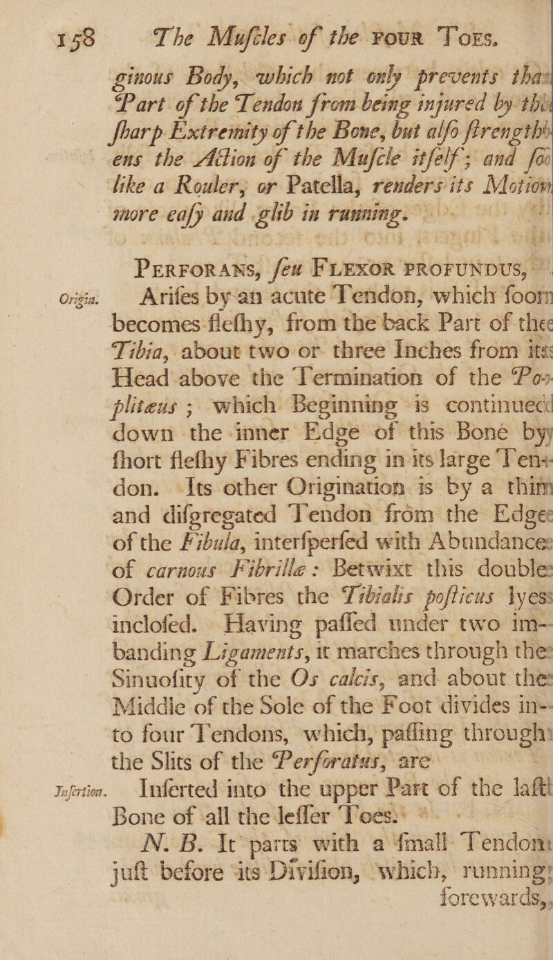 ginous Body, which not only prevents thas Part of the Tendon from being injured by thy fharp Extremity of the Bone, but alfo firengthi ens the Adion of the Mufcle itfelf; and fo fo like a Rouler, or Patella, weber its Motor more eafy and ghb i in See a Mt ‘Pueaky feu Firxor’ PROFUNDUS, - origin. Arifes by-an acute Tendon, which toda becomes fiefhy, from the back Part of thee Tibia, about two or three Inches from its Head above the Termination of the Po» pliteus ; which Beginning is continuec down the inner Edge of this Bone byy fhort flefhy Fibres ending i in its large ‘Ten+- don. Its other Origination is by a thim and difgregated Tendon from the Edge: ‘of the Fibuia, interfperfed with Abundances ‘of carnous Fibrille: Betwixt this doubles Order of Fibres the Tibialis pofticus lyess inclofed. Having paffed under two im- banding Livaments, it marches through thes Sinuofity of the Os caicis, and about the Middle of the Sole of the Foot divides in- to four Tendons, which, pafling biehel the Shits of the Perforatus; are neti. Inferted into the upper Part of the laft} Bone of ‘all the leffer Toes: °. N. B. It’ parts with a ‘mall: Tendon Lowi before “its — which, running? forewards,,