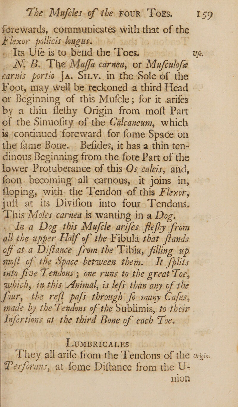 forewards, communicates with that of the Flexor pollicis, ougus. 0 &gt; | . Its Ufe is to bend the Fons b lar Up. _ NDB. The Maffa carnea, or Mufculfe carnis portio Ja. Stuy. in the Sole of the Foot, may well be reckoned a third Head or Beginning of this Mufcle; for it .arifes by a thin flefhy Origin from moft Part of the Sinuofity of the Calcaneum, which is continued foreward for fome Space on the fame Bone. Befides, it has a thin ten- dinous Beginning from the fore Part of the lower Protuberance of this Os calcis, and, foon. becoming all carnous, it joins in, floping, with, the ‘Yendon of this F) Jencott jutt at its Divifion into four Tendons. ashi Moles carnea is wanting ina Dog. dna Dog this Mufcle arifes flefhy from al the upper Half of the Fibula that ftands off at.a Diftance from the’ Tibia, filling up moft of the Space between them. It fplits tito five Tendons ; one runs to the great Toe, which, in this Avimal, is lefs than any of the fur, the reft pafs through fo many Cafes, made by the Tendons of the Sublimis, to their pehcten at the third Bone of each Toe. t Ee as abeilacsataet _. They all arife from the Tendons of the ori: Perforans, at fome Diftance from the U- ie: nion