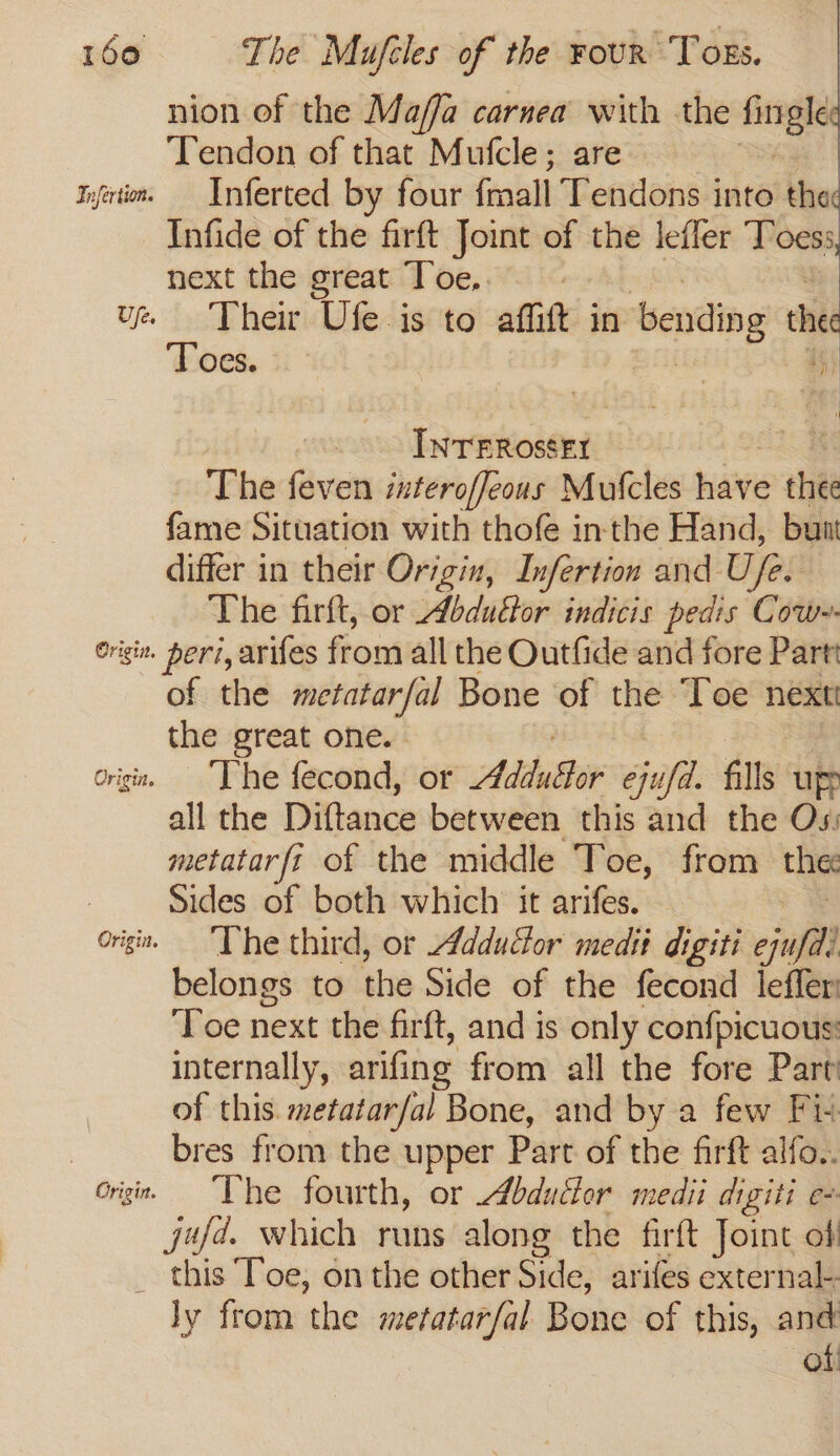 nion of the Maffa carnea with the fang Tendon of that Mufcle; are Kyi. — Inferted by four fmall Tendons into the Infide of the firft Joint of the leffer Toess next the great Toe, ue Ther Ufe is to affift in bending ine ‘Eoes. 4° | Hy Lorwkoiet =. The faves interoffeous Mufcles have thee fame Situation with thofe inthe Hand, bunt differ in their Origin, Infertion and Ufe. The firft, or Abdudtor indicis pedis Cow-- Origin. Heri, arifes from all the Outfide and fore Part of the metatarfal Bone of the Toe next the great one. crigin. The fecond, or AdduSlor Hult fills up: all the Diftance between this and the Os: metatar ft of the middle Toe, from the Sides of both which it arifes. origins ~~ The third, or Addudor medii digiti ein fll belongs to ihe Side of the fecond leffer Toe next the firft, and is only confpicuous: internally, arifing from all the fore Part of this. metatarfal Bone, and by a few Fi+ | bres from the upper Part of the firft alfo.. Grigin, The fourth, or bdudfor medii digiti e- jufd. which runs along the firft Joint of _ this Toe, on the other Side, arifes external. ly from the metatarfal Bone of this, and of!