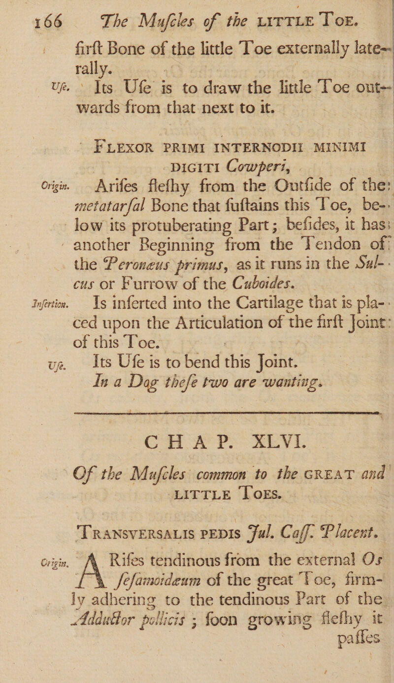 | firft Bone of the little Toe externally late=- oe | Its Gihee is to draw the little Toe out Wee. from that next to it. ' FLEXOR PRIMI INTERNODII MINIMI -DiGITI Cowperi, | Origin, Arifes flefhy from the Outfide of ther metatarfal Bone that fuftains this Toe, be-» _ low its protuberating Part; befides, it has: - another Beginning from éhe Tendon of: the Peroneus primus, as it rans in the Sal-- cus or Furrow of the Cuboides. infrtin. 1s inferted into the Cartilage that is pla- ced upon the Articulation of the firft Joint: of this Toe. Its Ufe is to bend Ree Noite In a Dag thefe two are wanting. reg? U je. Cn At Bevis Of the Mufcles common to the GREAT and LITTLE ‘ToEs. TRransversatis PEDIS Ful. Caff. Placent. Rifes tendinous from the external Os Jefamoideam of the great “Toe, firm- ly adhering to the tendinous Part of the. Addufbor po Nicis ; foon growing flefhy it | pafles Origin, ;