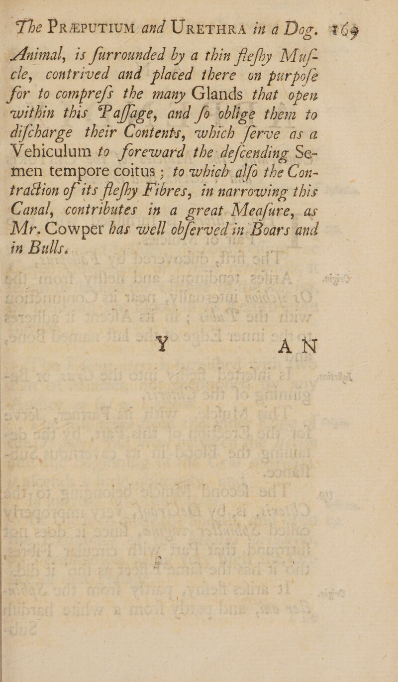 Animal, is furrounded by a thin flefhy M uf cle, contrived and placed there on purpofe for to compre/s the many Glands that open within this Paffage, and fo oblige them to difcharge their Contents, which Jerve as a Vehiculum to. foreward the defcending Se- men tempore coitus ; to which alfo the Con- tration of its flefhy Fibres, in narrowing this Canal, contributes in a great. Meafure, as Mr. Cowper has well obferved in: Boars and in Bulls. ; ete APE is oa ere