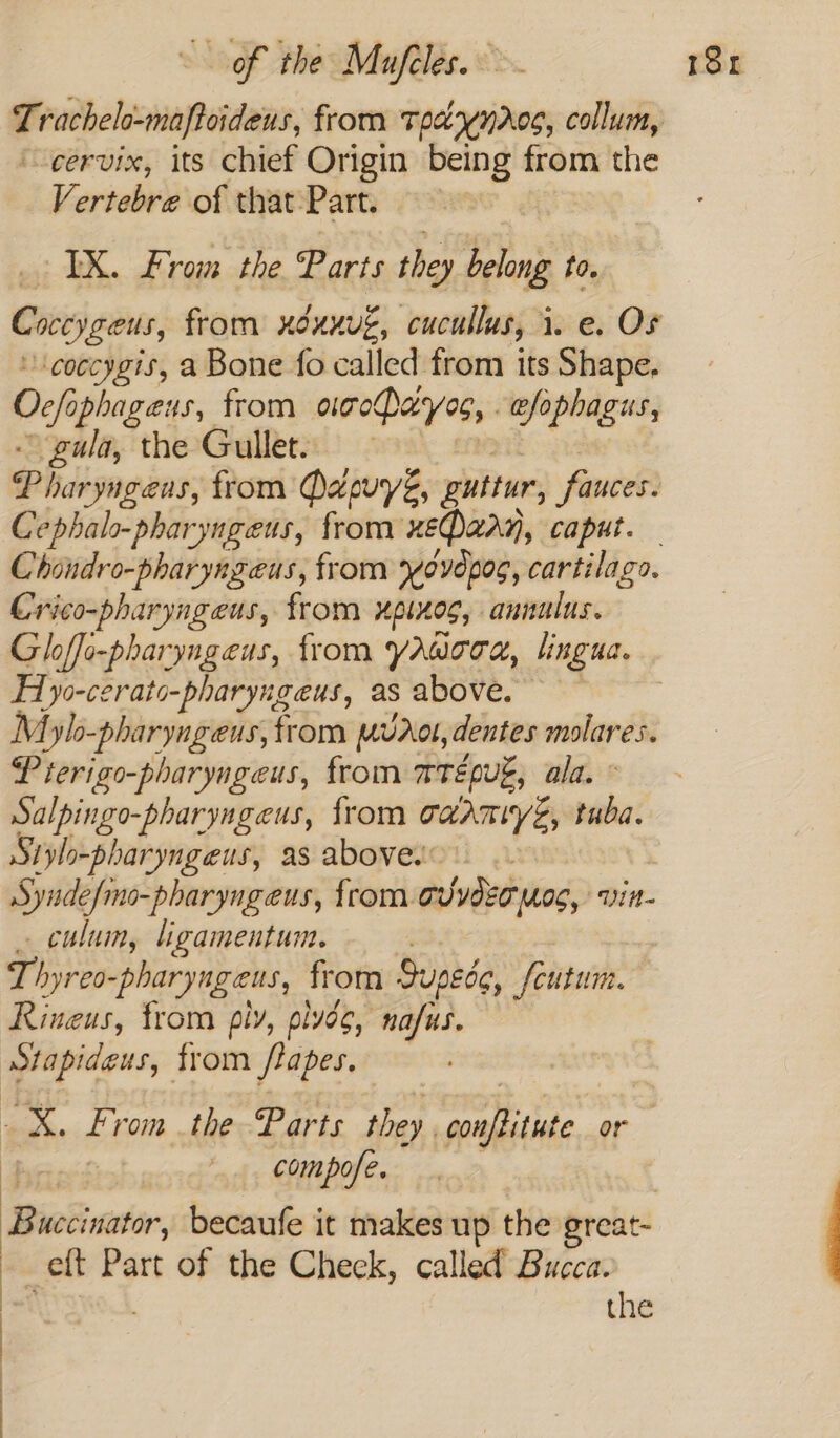 ~ervix, its chief Origin being from the Vertebre of that Part. Coccygeus, from xdunv€, cucullus, i. e. Os ‘\coccygis, a Bone fo called from its Shape. Ocfophageus, from oioPayos, efophagus, - gala, the Gullet. | Pharyngens, from QapuysZ, guttur, fauces. Chondro-pharyngeus, from yovepog, cartilago. Crico-pharyageus, from upinos, annulus. Fiy0-cerato-pharyngeus, as above. Mylo-pharyngeus, from muaot,dentes molares. P terigo-pharyageus, from wrepuk, ala. © Salpingo-pharyngeus, from caanuyé, tuba. Siylo-pharyngeus, as above. Synde/imo-pharyngeus, {rom evyder mos, vin- culum, ligamentum. Thyreo-pharyageus, from Jupeds, feutum. Rineus, from ply, plyvd¢, nafus. wtapideus, from flapes. X. From the Parts they , conftitute. or Piers compose. | “ eft Part of the Check, called Bucca. the