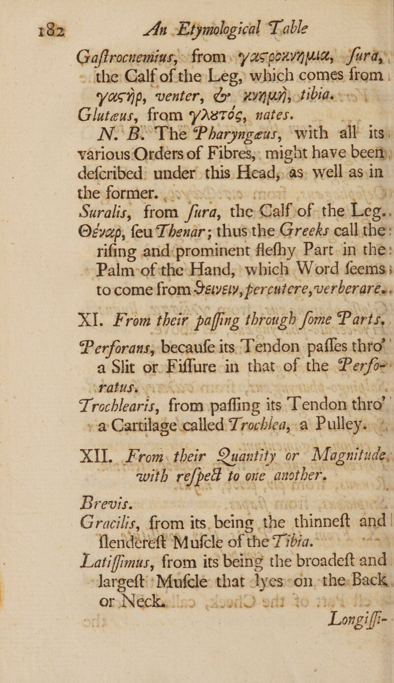 _ the Calf of the Leg, which comes from yasnp, venter, &amp;? ww, Sibide Gluteus, fram YAstos, nates. N. Be The Pharyngens, ‘with all its) various Orders of Fibres,, might have been), defcribed: under’ this Heads as. well as. in. the former. 22. | Suralis, from tenn the Calf. sf the Lege, O¢vap, feu Thenar ; thusthe Greeks call the: rifing and:prominent flefhy Part in the: - Palm-of the Hand, which Word feems; tocome from Selvely, percutere, verberaren XI. From ‘their papi ing thr ough Some Parts, Perfarans; becaufe its Tendon pafles thro’ a Slit on E iffure: in that of the Perfor: PAUSE ACLS Trochlearis, from rnailiti its Tencais thro! » a Cartilage called Trochlea,.a Pulley. XI. From. their Quantity or Mig vith refpell to oe Ria Sets Brevis. Gracilis, from its. bainh. ane thinneft and | Theriahet Mulcle of the 77670. tim Latifimus, from its being the br cases and. largeft! musing that: Tyes on. shes Back, Or Neck. e< ‘Mi? Sf id >? Lagii-