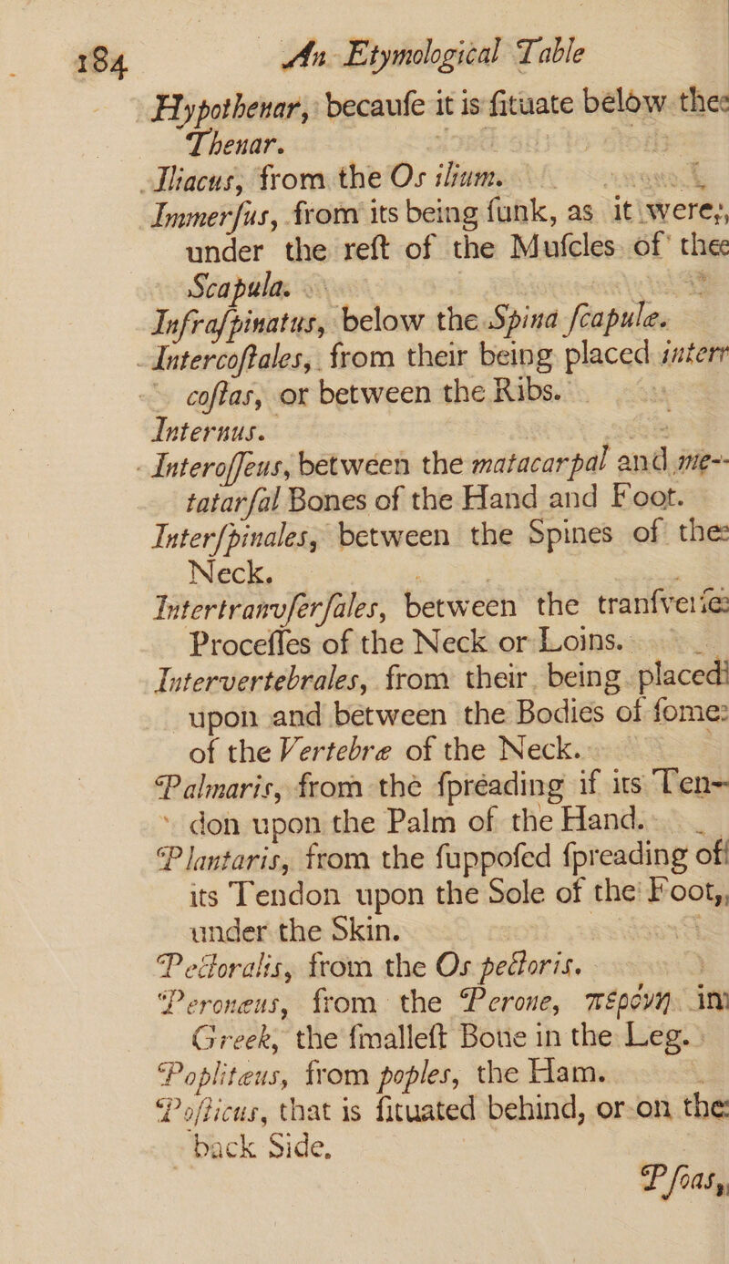 Thenar. Immerfus, fron its being funk, as iti were,, under the reft of the Mufcles. of* thee Scapula. ai i ae ly 5. Infrafpinatus, below the Spina fcapule. coftas, or between the Ribs. Internus. tatarfal Bones of the Hand and Foot. Interfpinales, between the Spines of the: Neck. ; : | Intertranvferfales, between the tranfveiie Procefles of the Neck or Loins. _ Intervertebrales, from their. being. placed! upon and between the Bodies of fome: of the Vertebre of the Neck. Palmaris, from thé {préading if its Ten- » don upon the Palm of the Hand. __ P lantaris, from the fuppofed {preading off its Tendon upon the Sole of the! Foot,, under the Skin. | P ettoralis, from the Os pedoris. | ‘Peroneus, from the Perone, mépovn. im Greek, the fmalleft Bone in the Leg.» Popliteus, from poples, the Ham. E Pofticus, that is fituated behind, or-on the: ~ back Side, | | Pfoasy