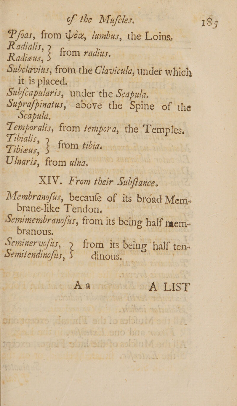 Pfoas, from Wea, lumbus, the Loins, Radialis, ) akon, ¢ from radius. Subclavins, from the Clavicula, undet which — it is placed. ame | Subfcapularis, under the Scapula. Suprafpinatus, above the Spine of the ~ Scapula, | eae Lemporalis, from tempora, the Temples, Tibieus, ¢ : rom 71 de Ulnaris, from ulna, XIV. From their Subftance. | Membranofus, becaule of its broad Mem- brane-like Tendon. 3 Semimembranofus, from its being half naem- branous. 2 eggs | Seminervofis,. 2 from its being half ten- semitendinofis, UOge Judea rndan tk oll Lasy