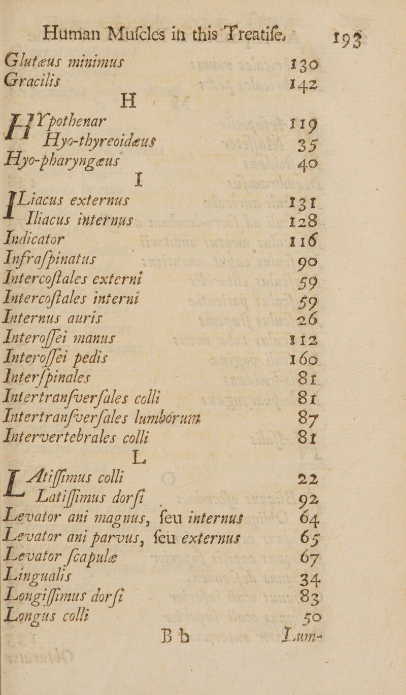 Gracilis ; H | FE / Y pothenar +“ ELyo-thyreoideus f1y0-pharyngeus I J Tndicator Lufra/pinatus Intercoftales externi Intercoftales interni duternus auris Interoffei manus Interoffei pedis Luter/pinales Intertranfverfales colli Tntertranfverfales lumborum Intervertebrales colli | , Be ins colli —~ Latiffimus dor fi. Levator ani maguus, feu internus Levator ani parvus, feu externus Levator feapule — Lingualis Loongiffimus dor ft Longus colli | Bb 5O Tum-