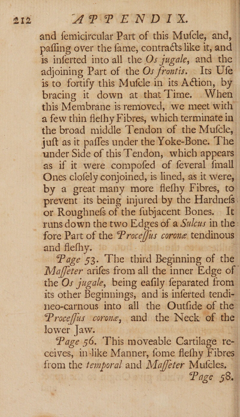 and femicircular Part of this Mufcle, and, is inferted into all the Os jugale, and the adjoining Part of the Os frontis. . Its Ufe is to fortify this Mufcle in its Action, by bracing it down at that Time. .When this Membrane is removed, we meet with a few thin flefhy Fibres, which terminate in the broad middle Tendon of the Mufcle, juft as it paffes under the Yoke-Bone. ‘he under Side of this Tendon, which appears as if it were compofed of feveral {mall Ones clofely conjoined, is lined, as it were, by a great many more flefhy Fibres, to prevent its being injured by the Hardnefs or Roughnefs of the fubjacent Bones. It fore Part of the Proce/fus corone tendinous and flefhy. — | fliioads essere Page 53. The third Beginning of the Maffeter arifes from all the inner Edge of the Os jugale, being eafily feparated from its other Beginnings, and is inferted tendi- nieo-carnous into all the Outfide of the Proceffus corone, and the Neck of the lower jaw. : uyliggesd ag ‘Page 56. This moveable Cartilage re- ceives, indike Manner, fome flefhy Fibres from the femporal and Maffeter Mufcles, | | Page 58.