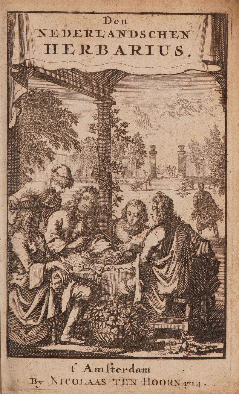 INE D ERIANDS CHEN HERBARIUS. | NAN Nese Mu SNNNANMM nn zotidDhnt N 4 t Amfterdam SO id Bt Ber „NTCOTAAS TEN HO ORN arg. «- anus